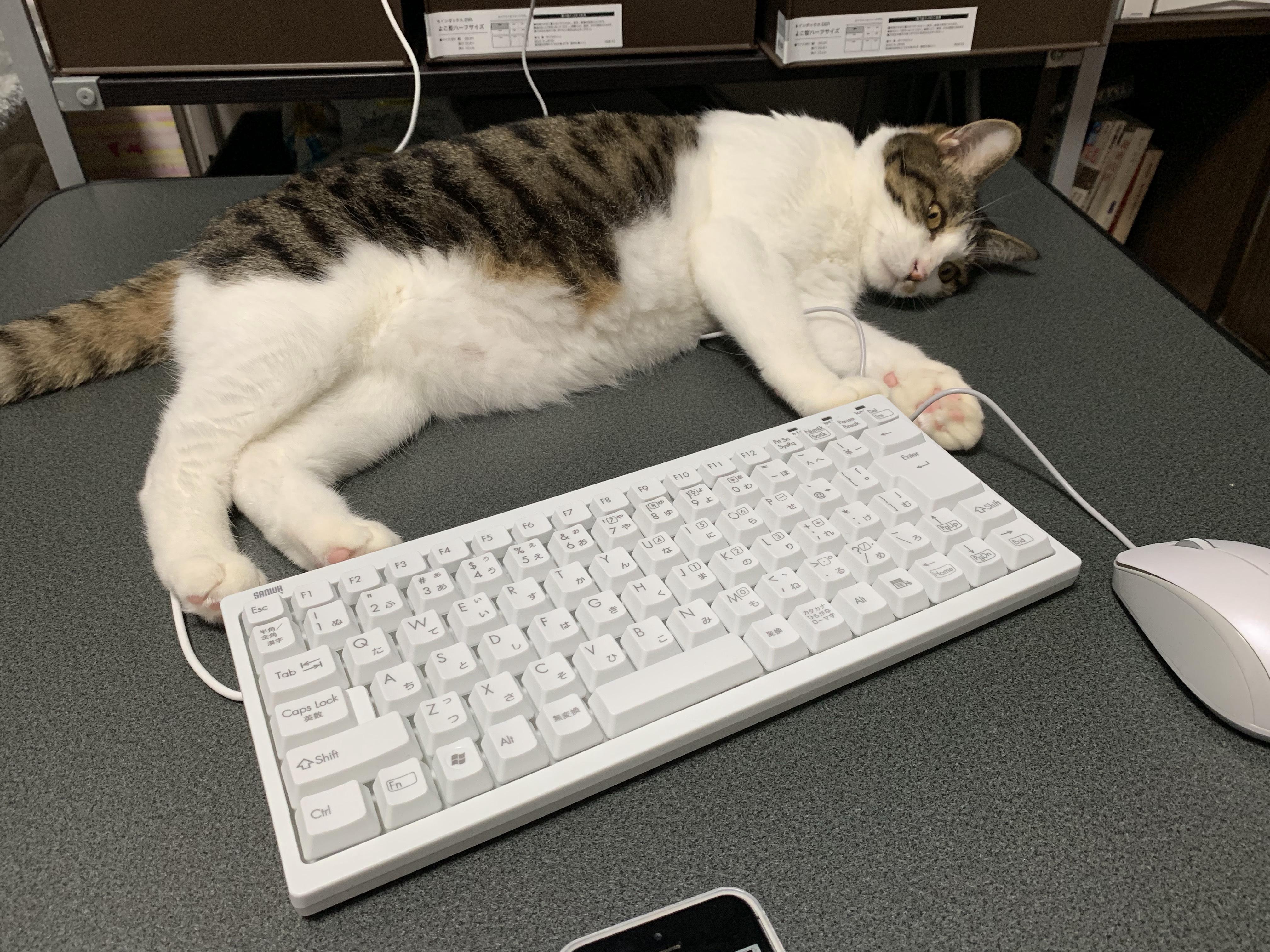 Raspberry PiにgoenvでGoの環境構築をした