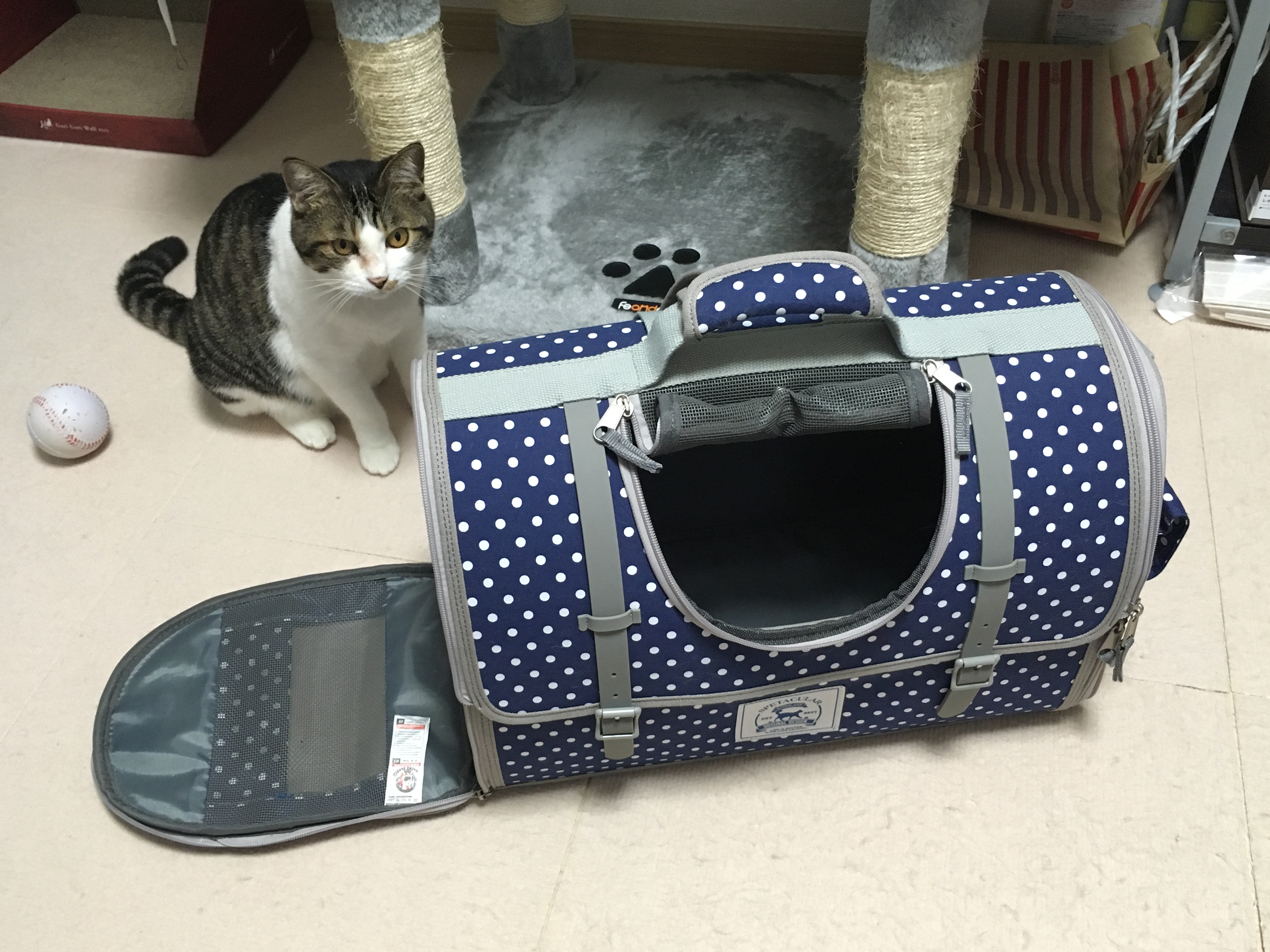 キャリーバッグ