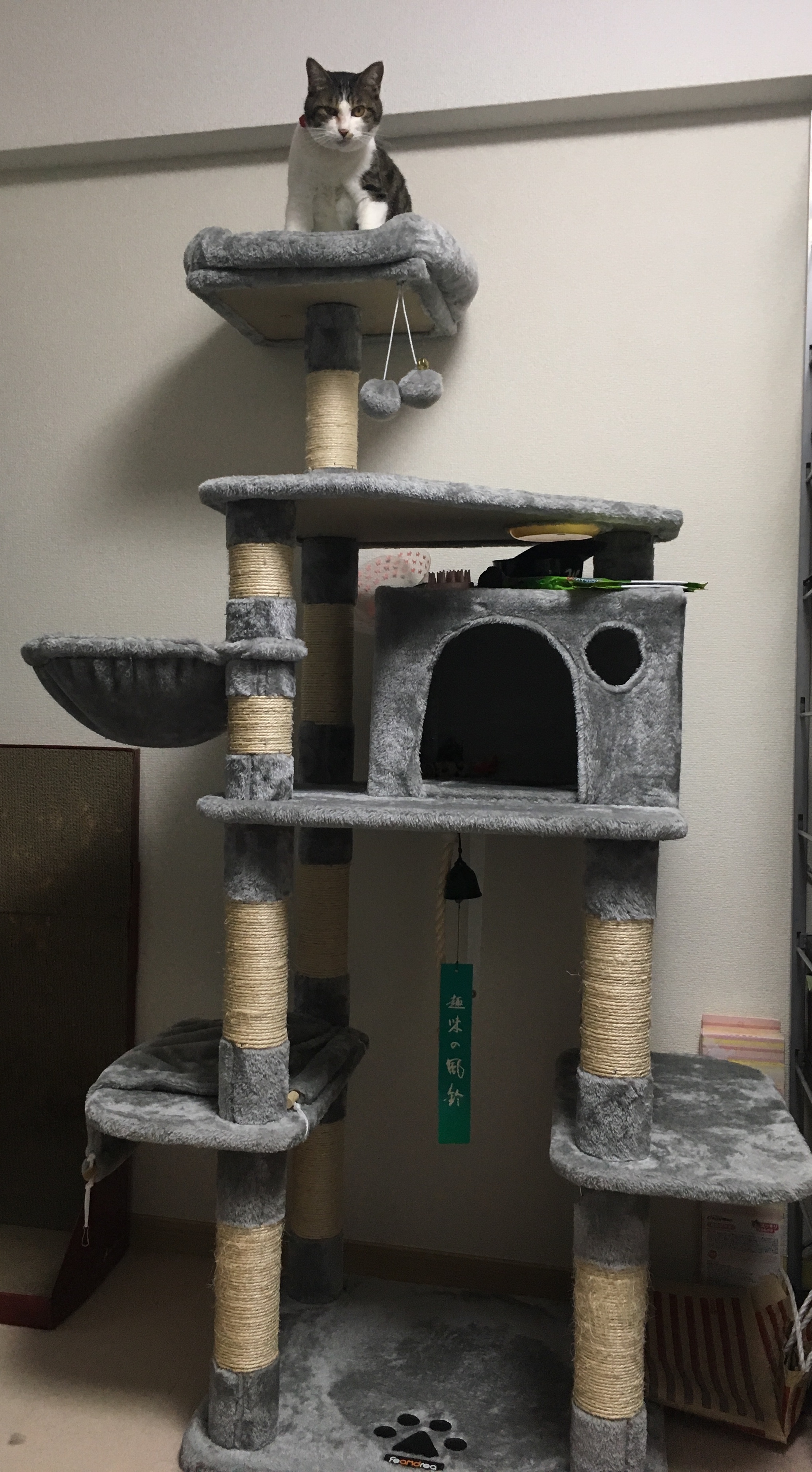 キャットタワー