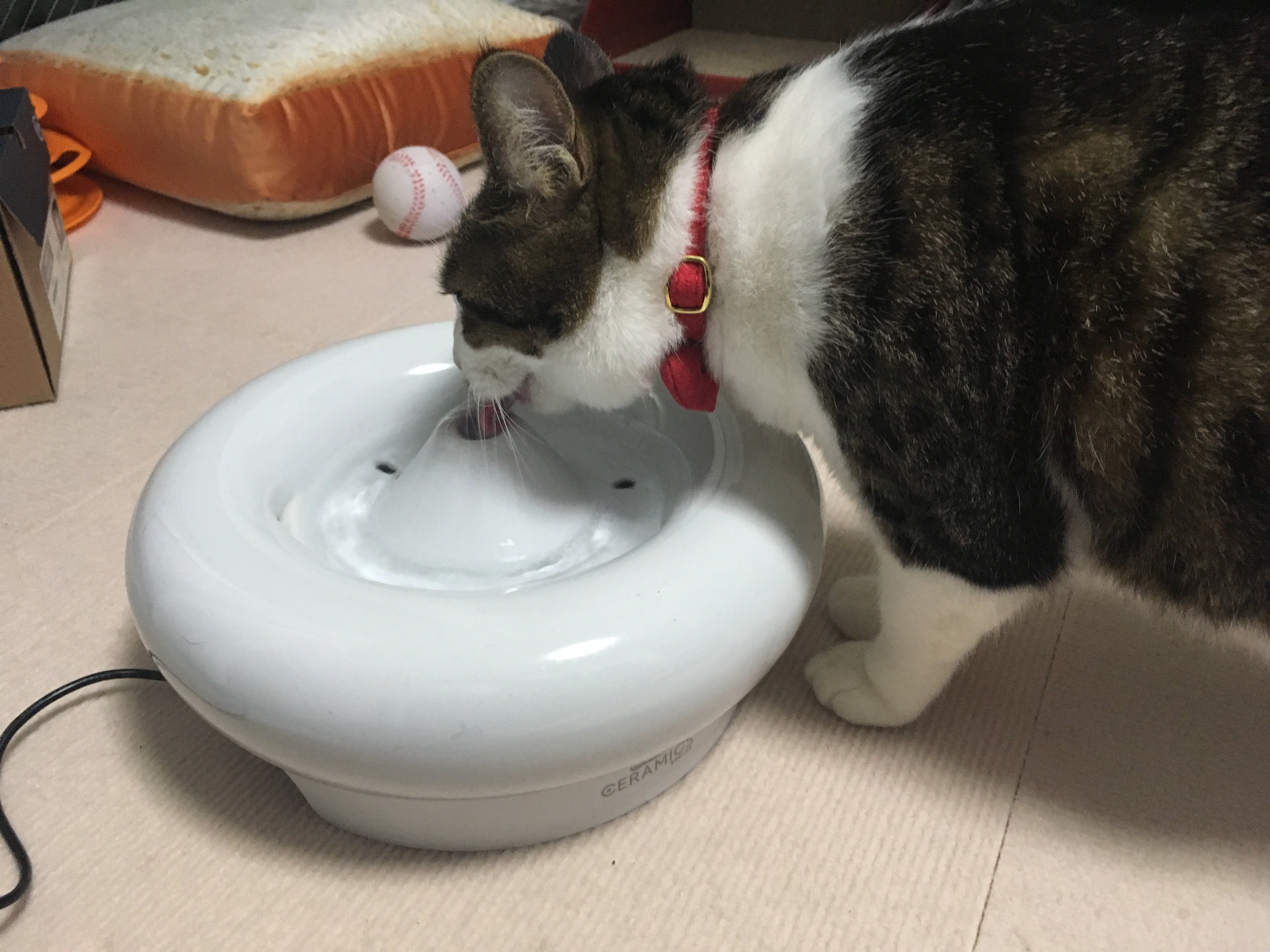 ピュアクリスタル