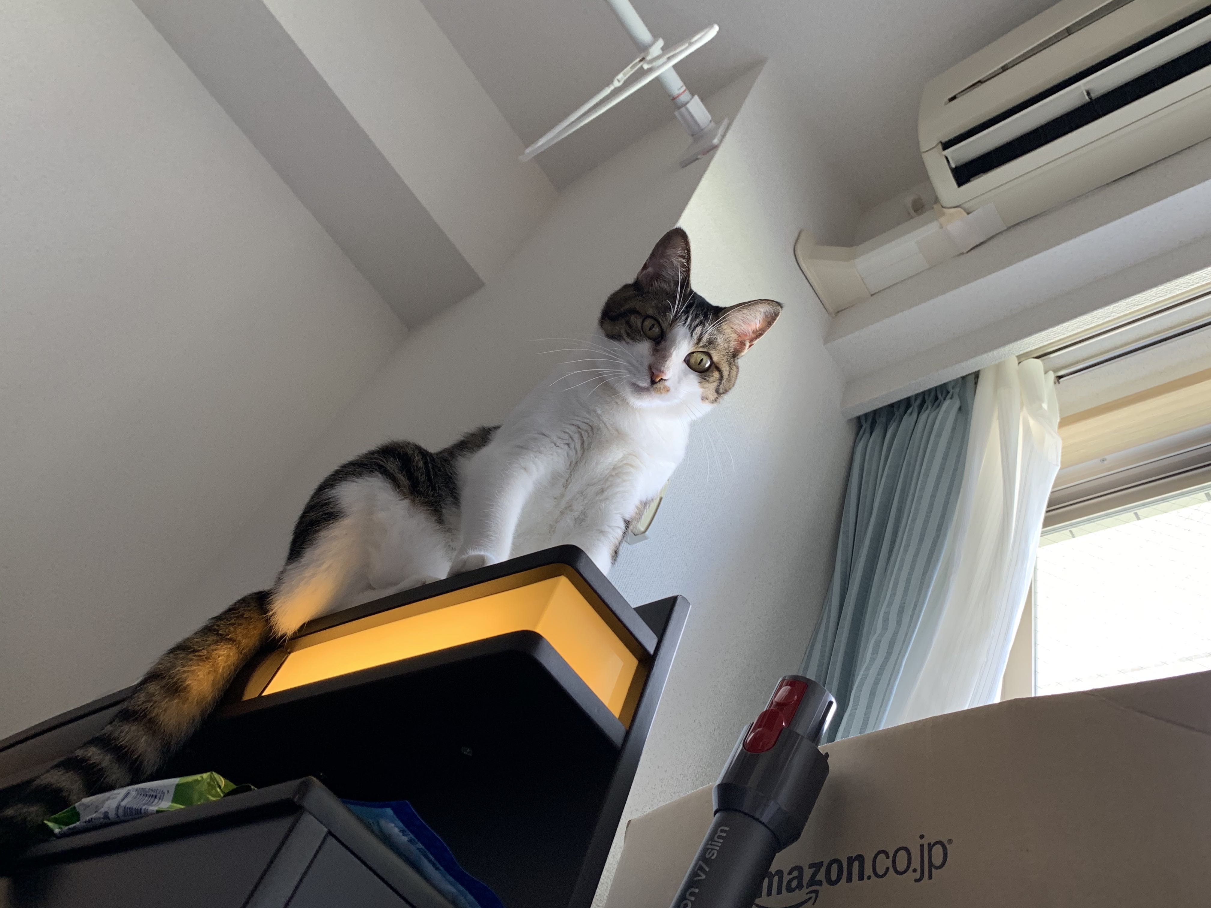 8月のそとちゃんまとめ(2020)