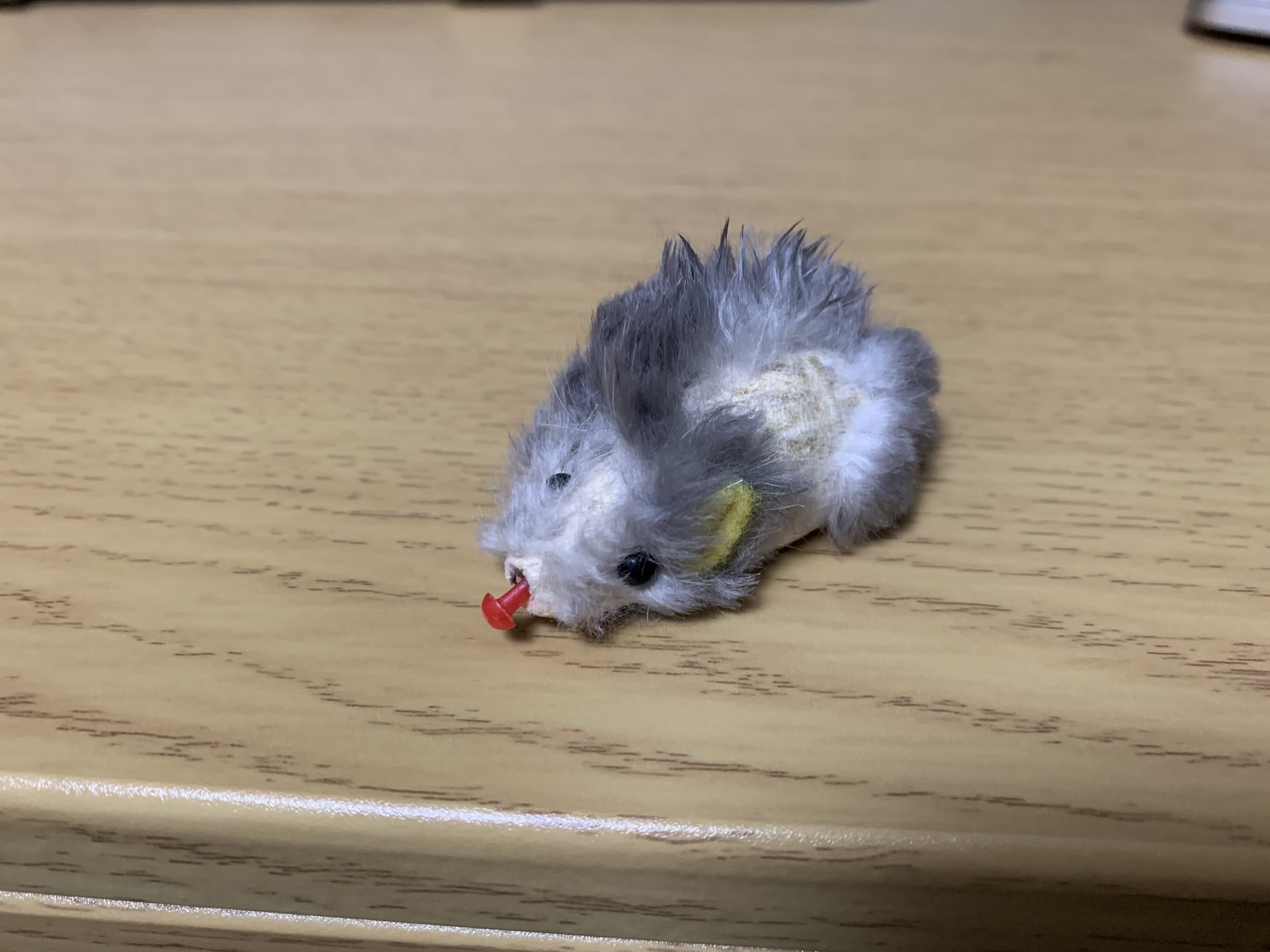 そとちゃんが遊びまくったねずみ