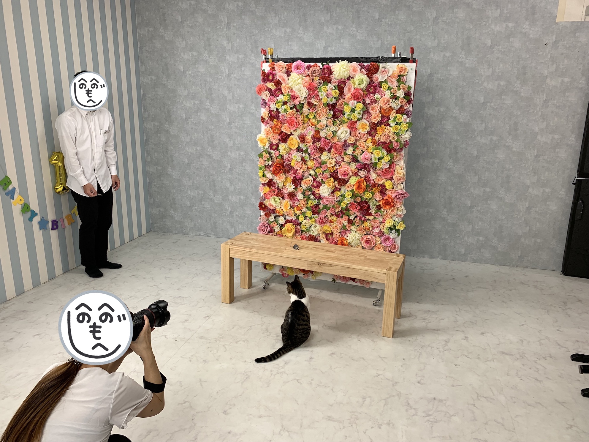 なかなか台に登らない