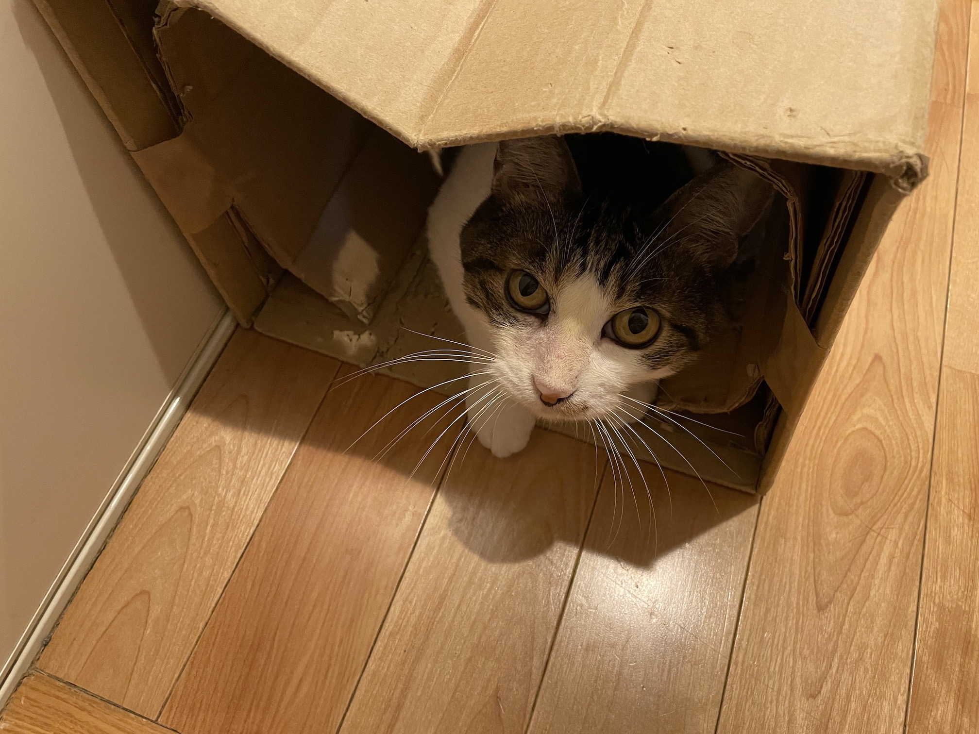 いじけてるつもり