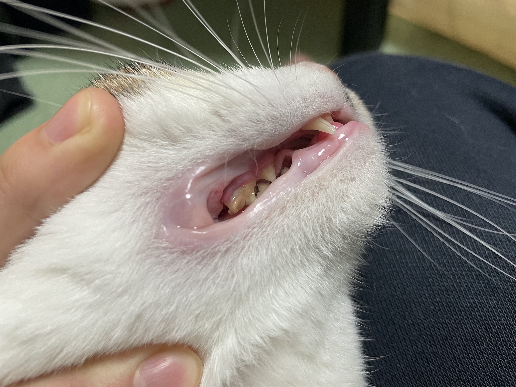 ちょっと良くなった?