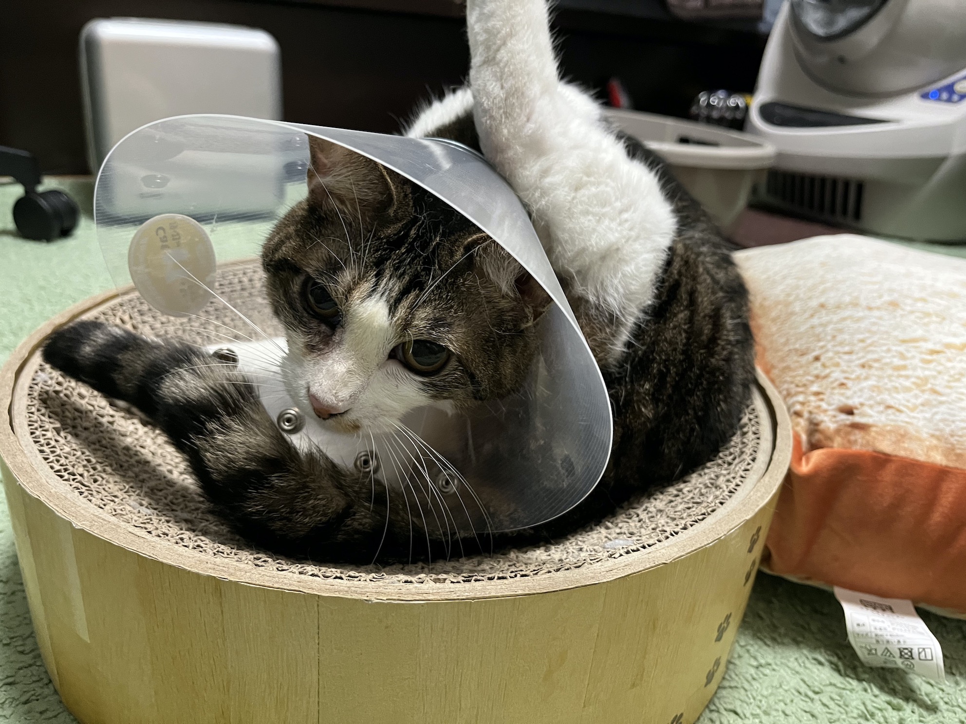 自分のおしりは自分できれいにしたい