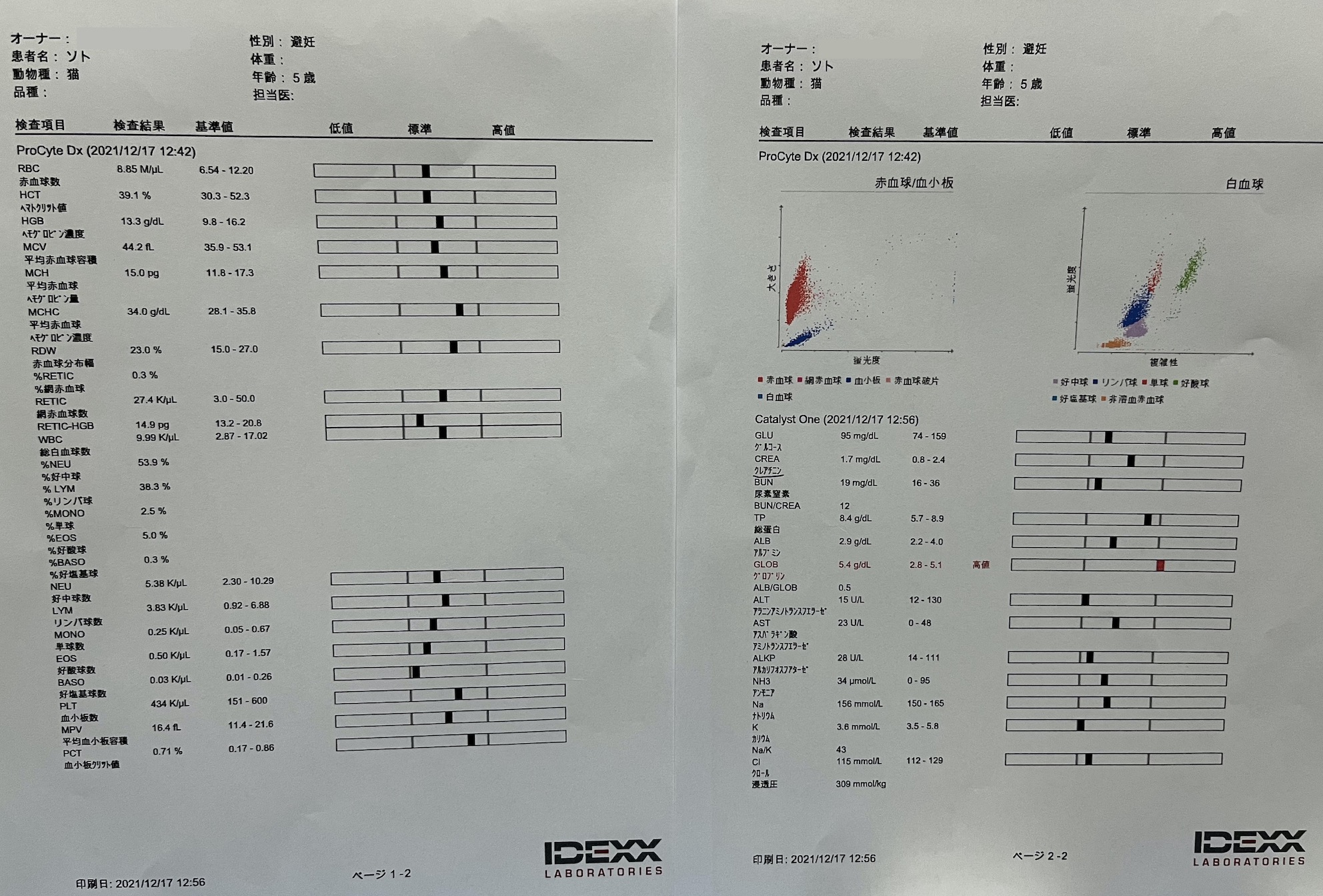 血液検査の結果