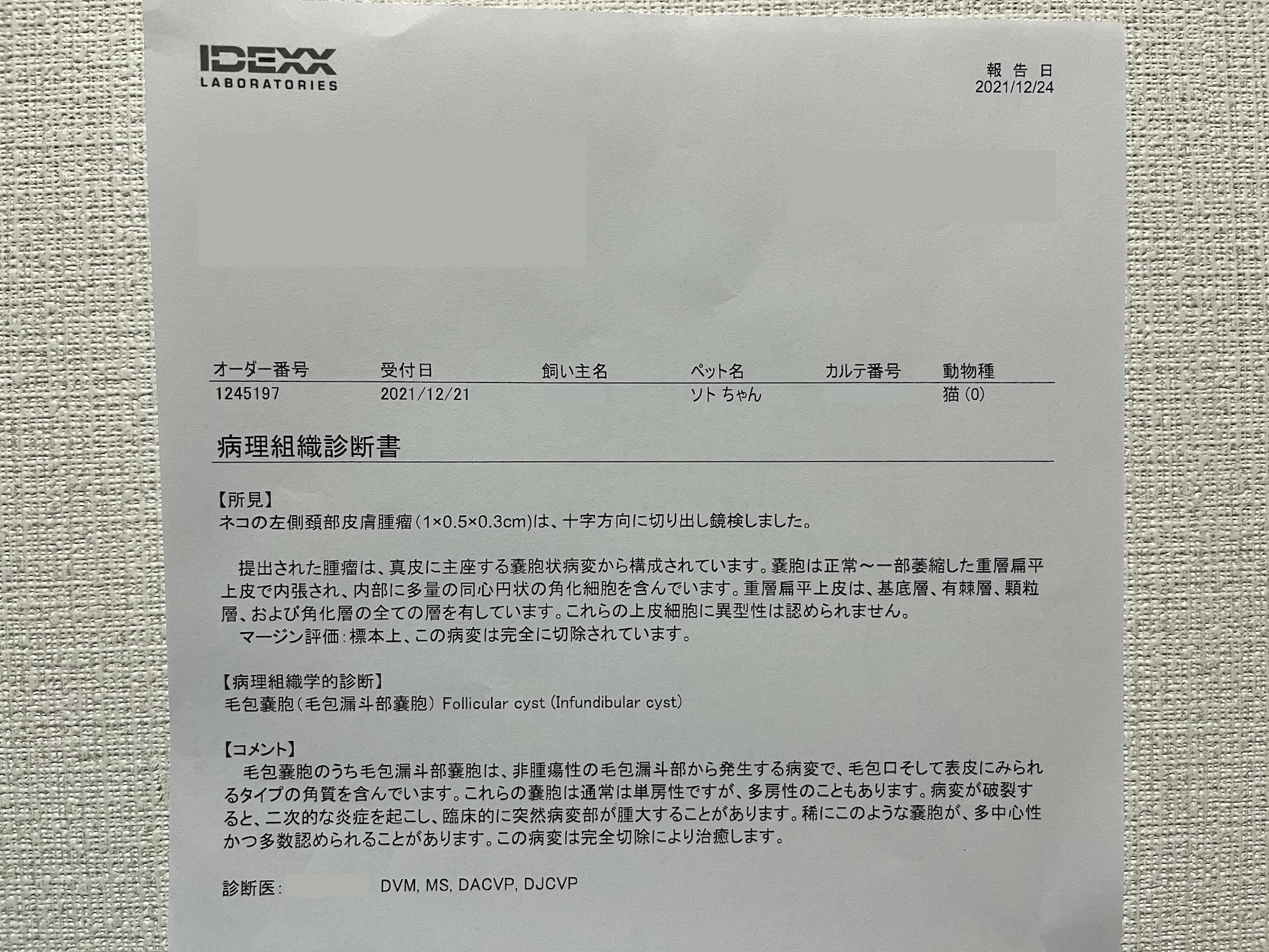 病理検査の結果
