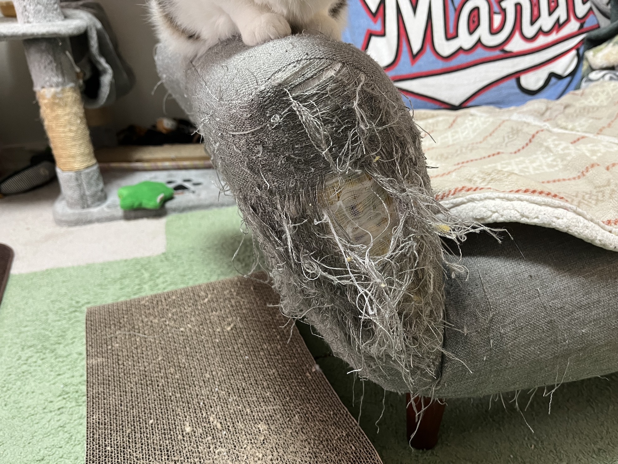 つめとぎだったもの