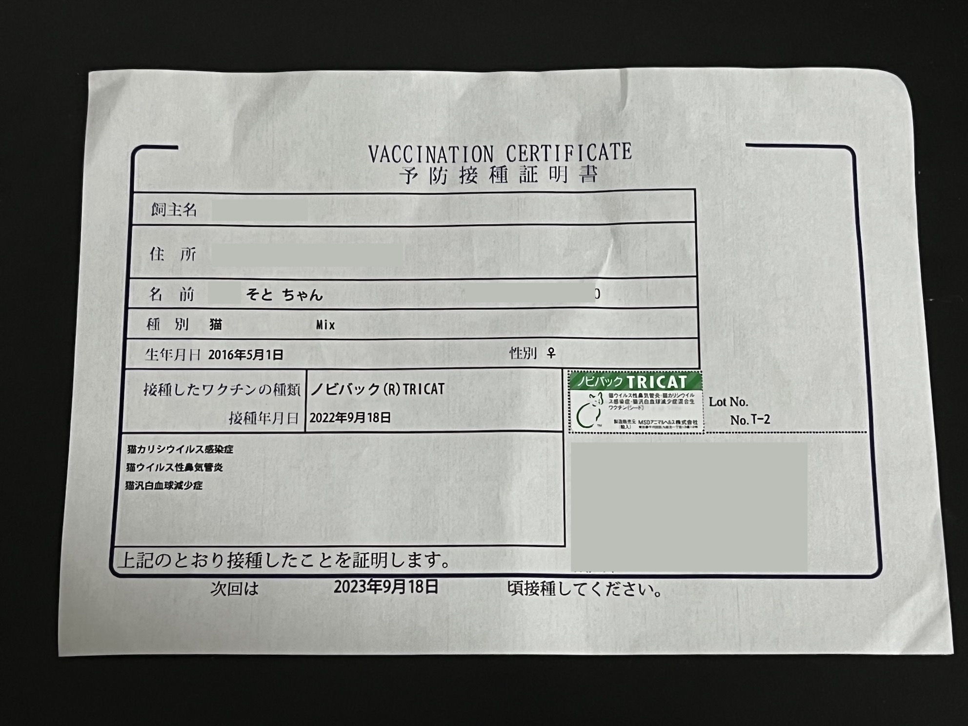 Vaccinated