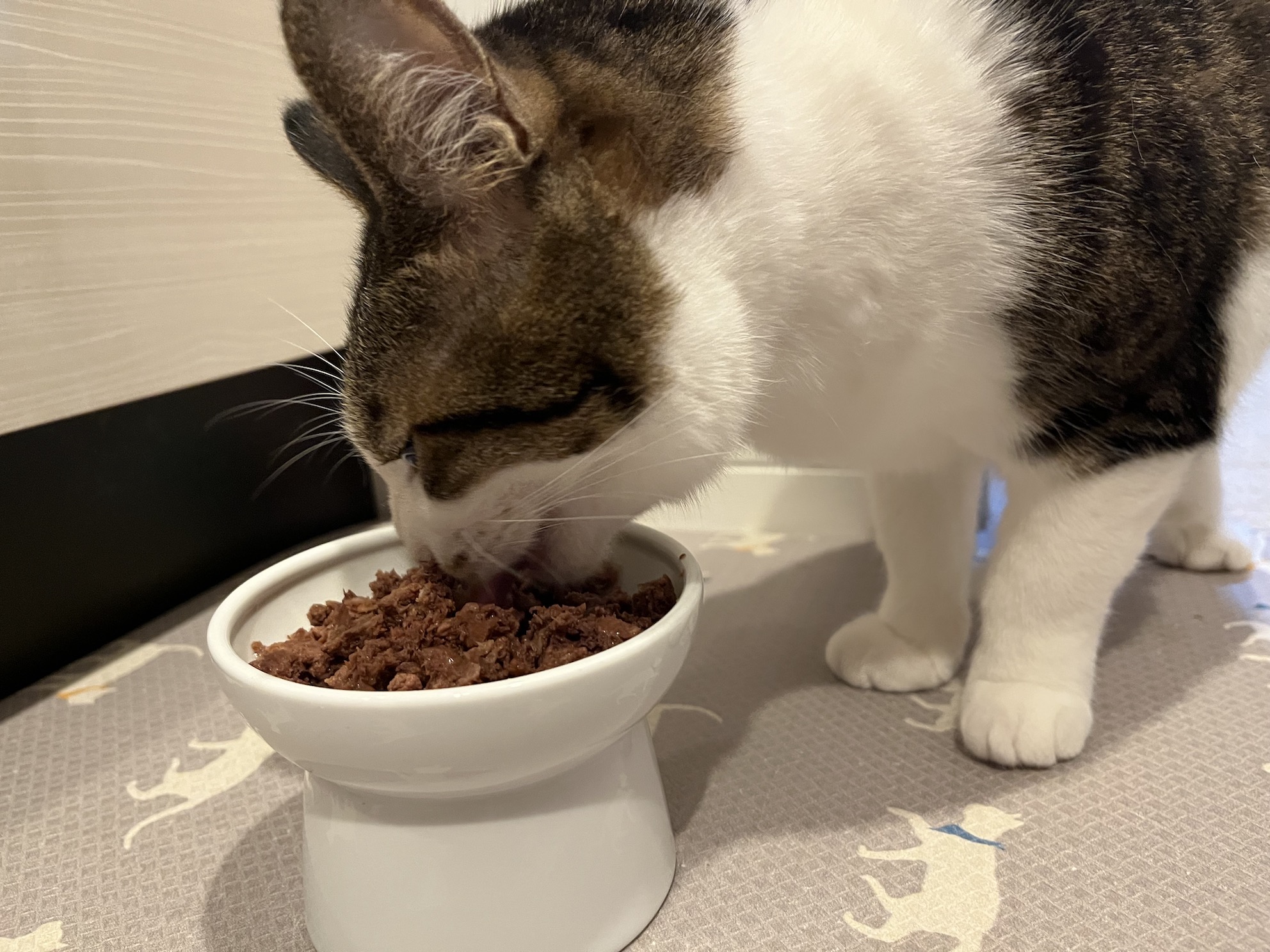 それでもやっぱり食べる