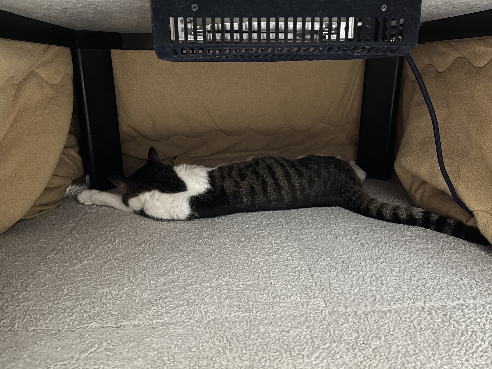 溶けてる