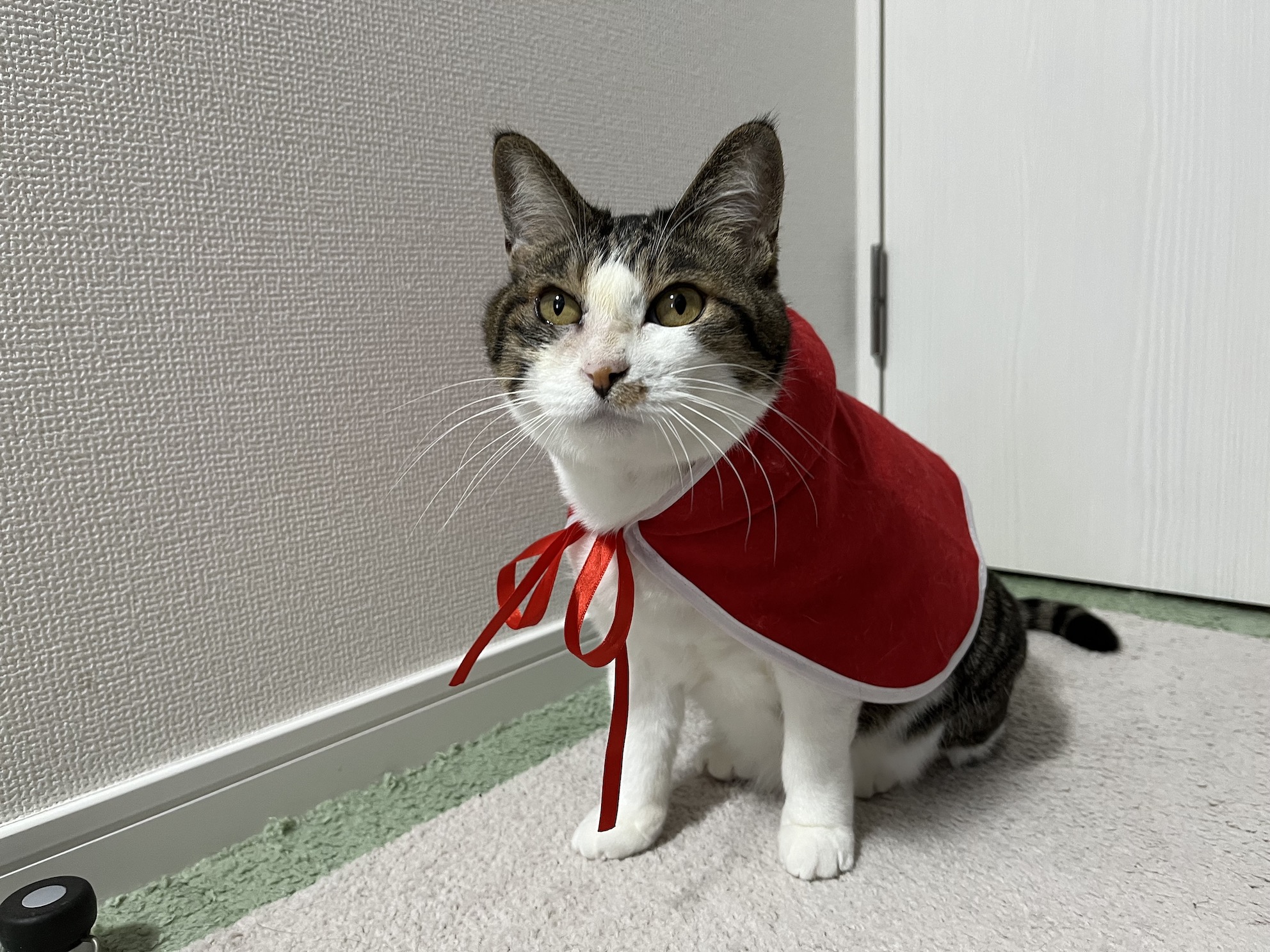 やる気