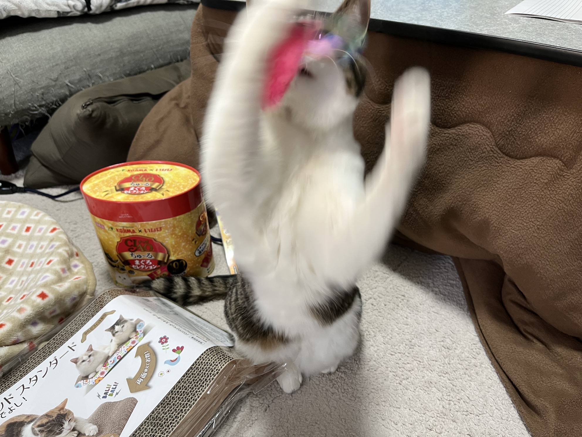 うおお