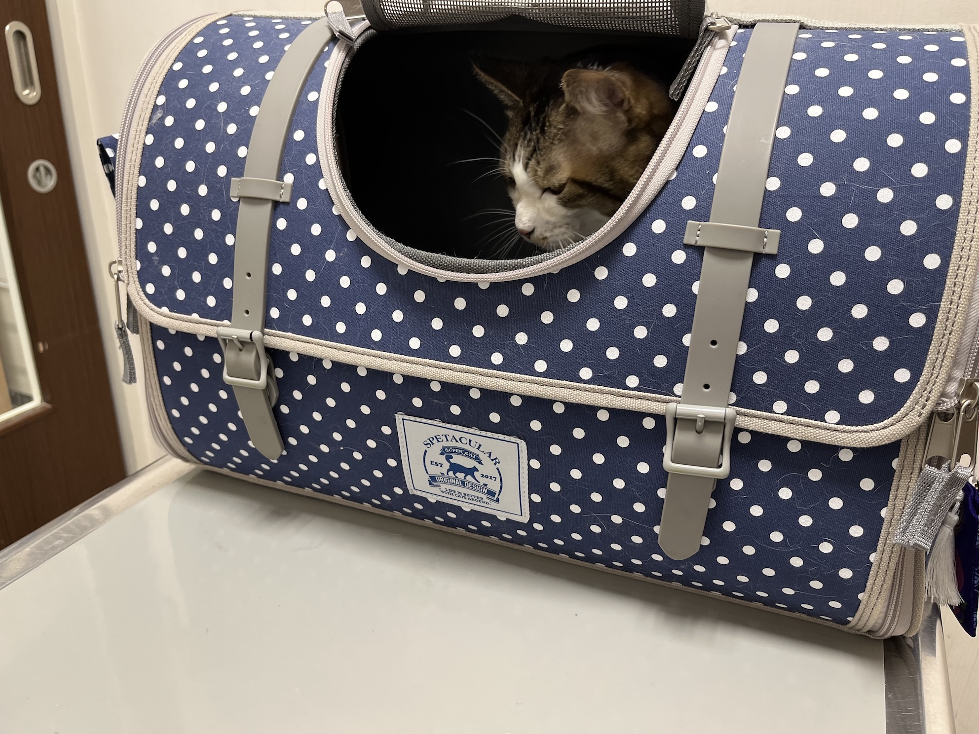 病院に着いたら全然出てこない