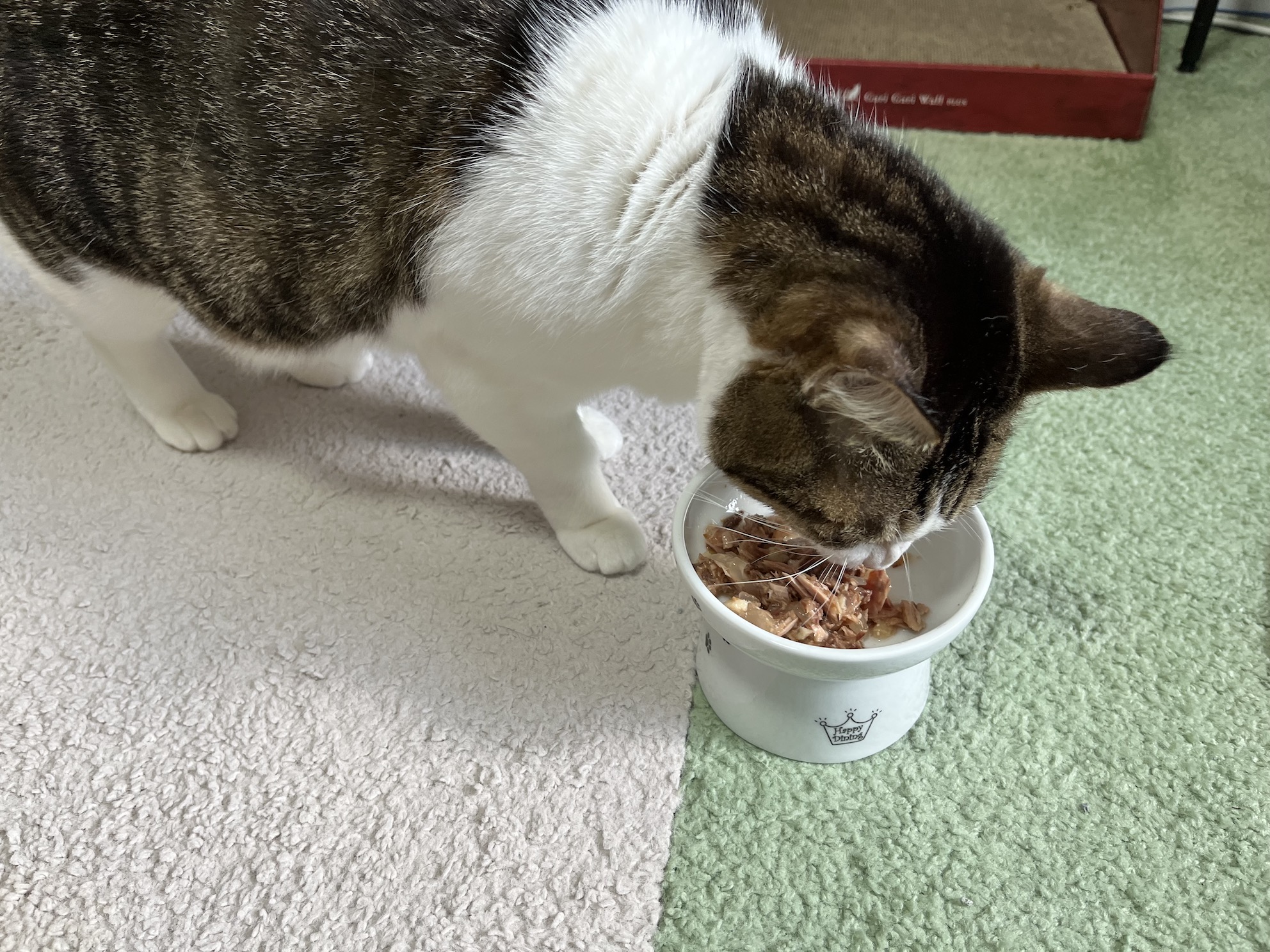食欲モリモリ