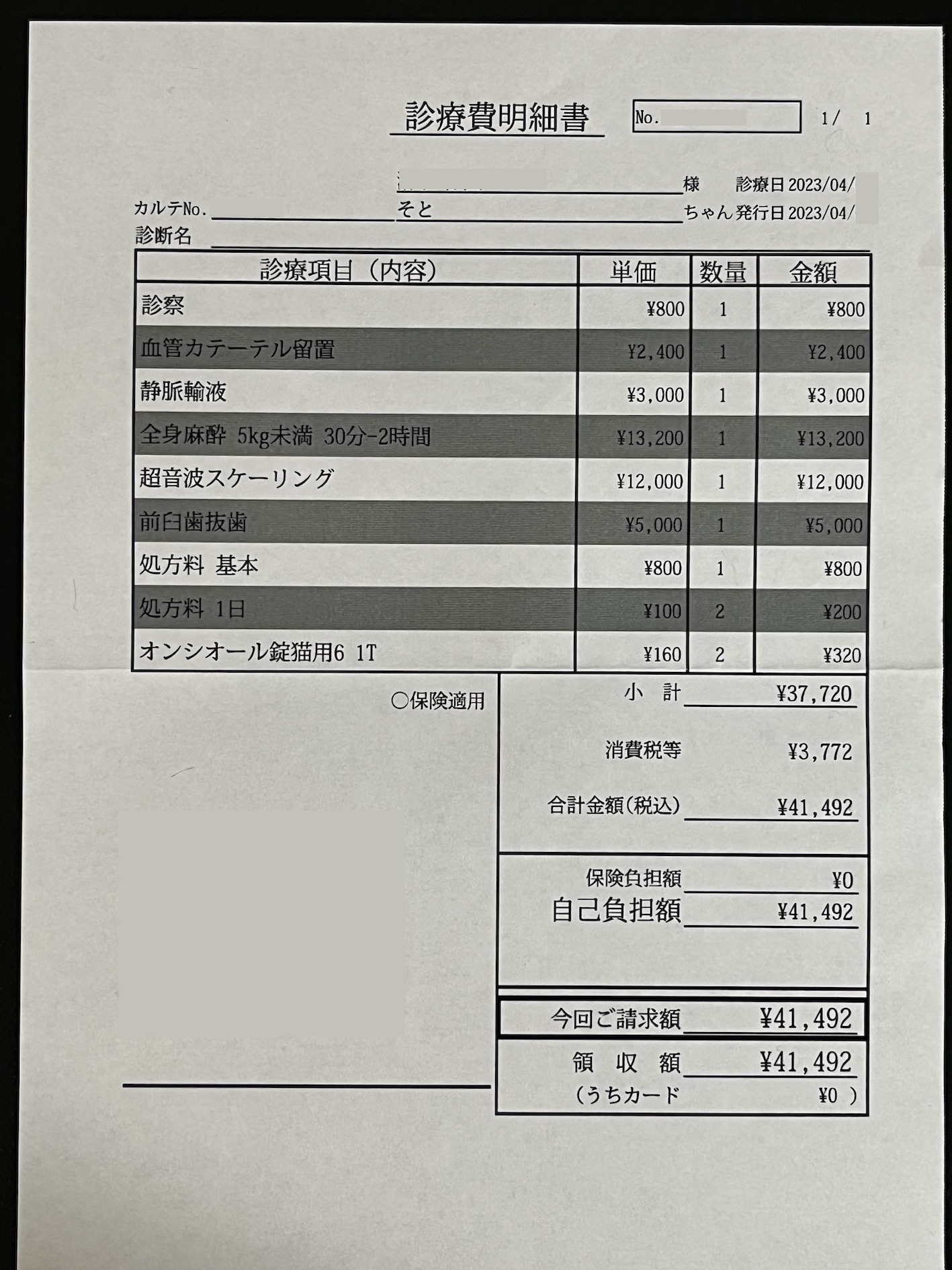 痛い出費