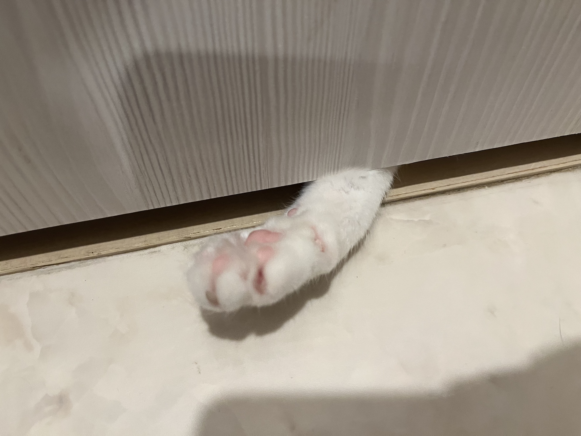 こわい