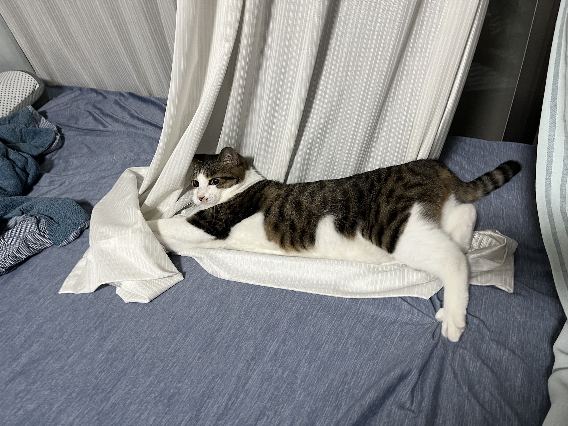 大興奮