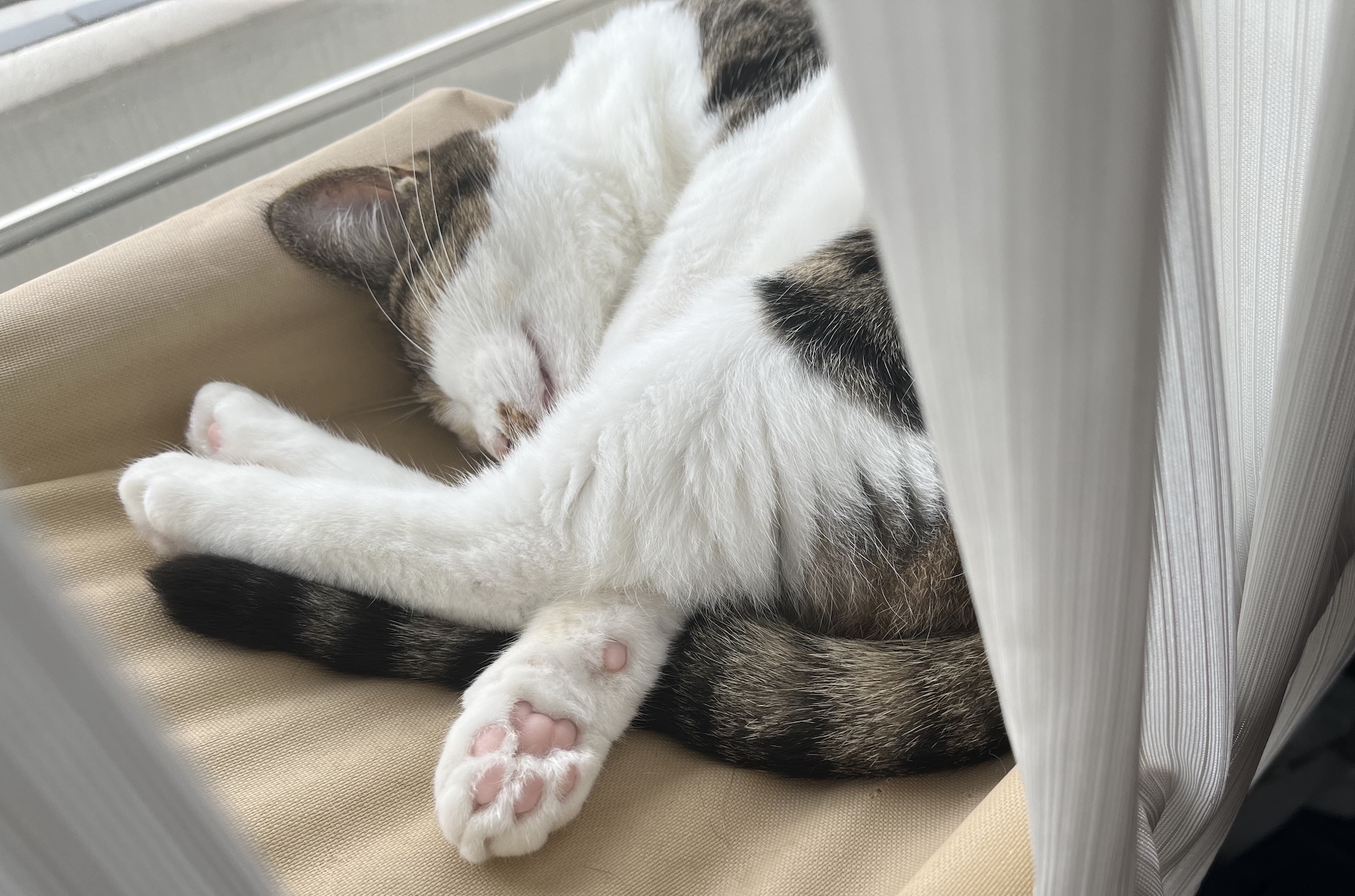 8月のそとちゃん(2023)