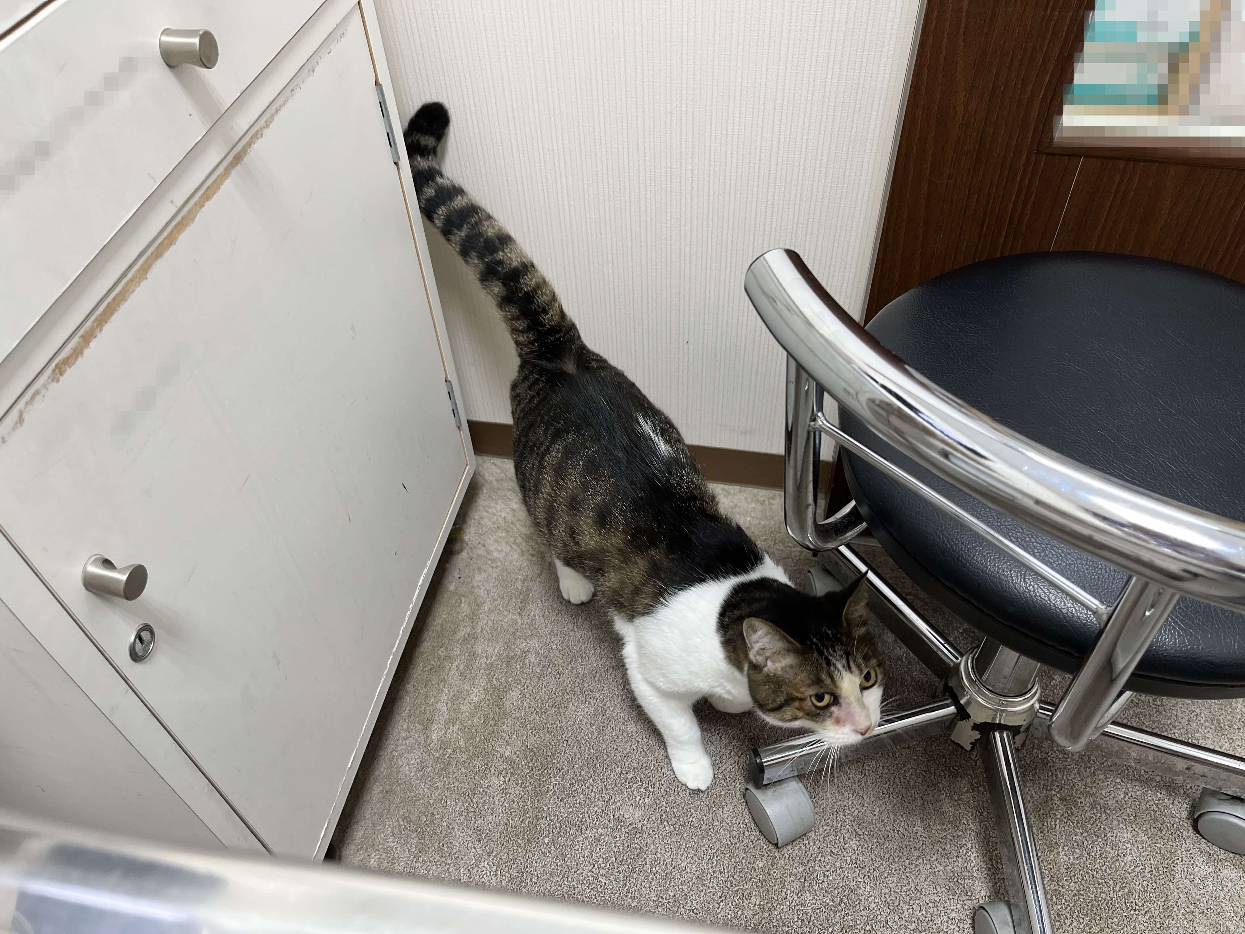 ここが気になる