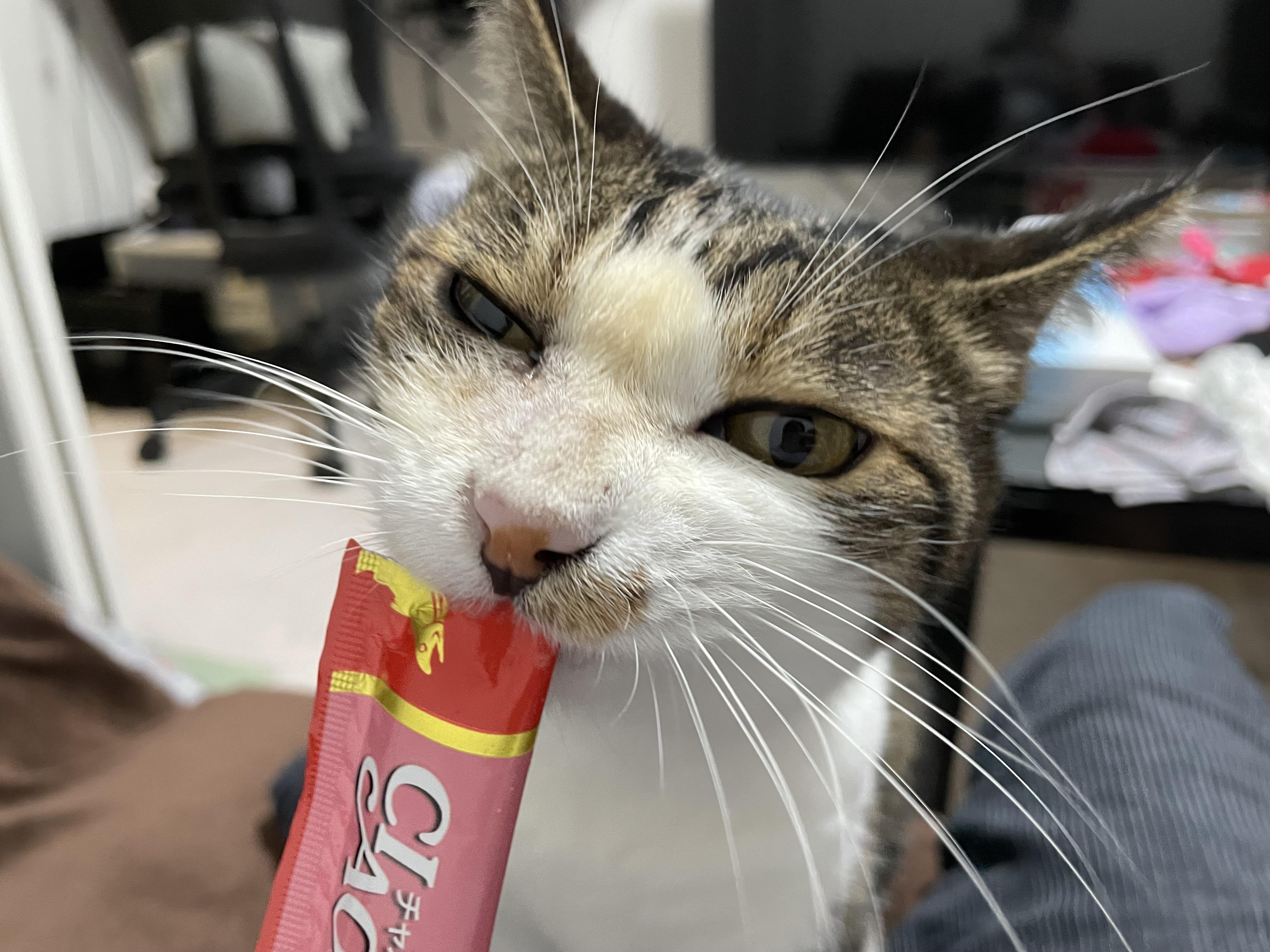 超元気