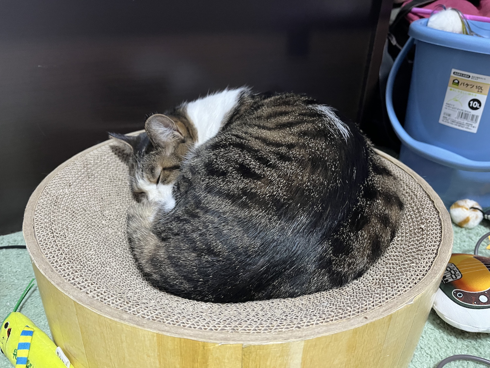 まるい