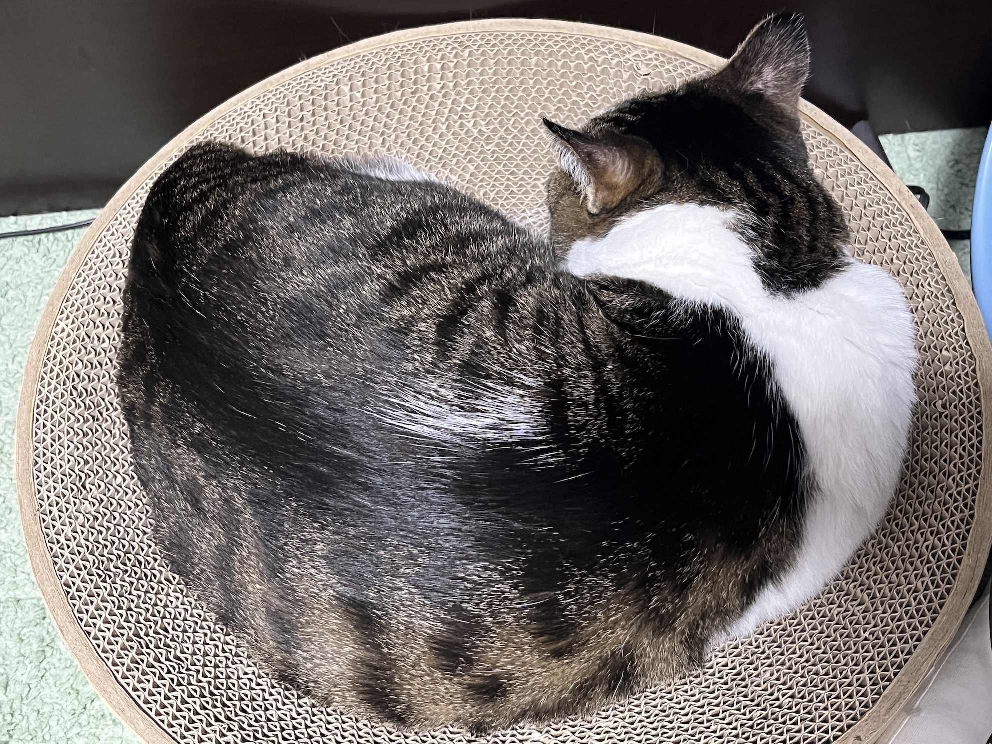 すねてる