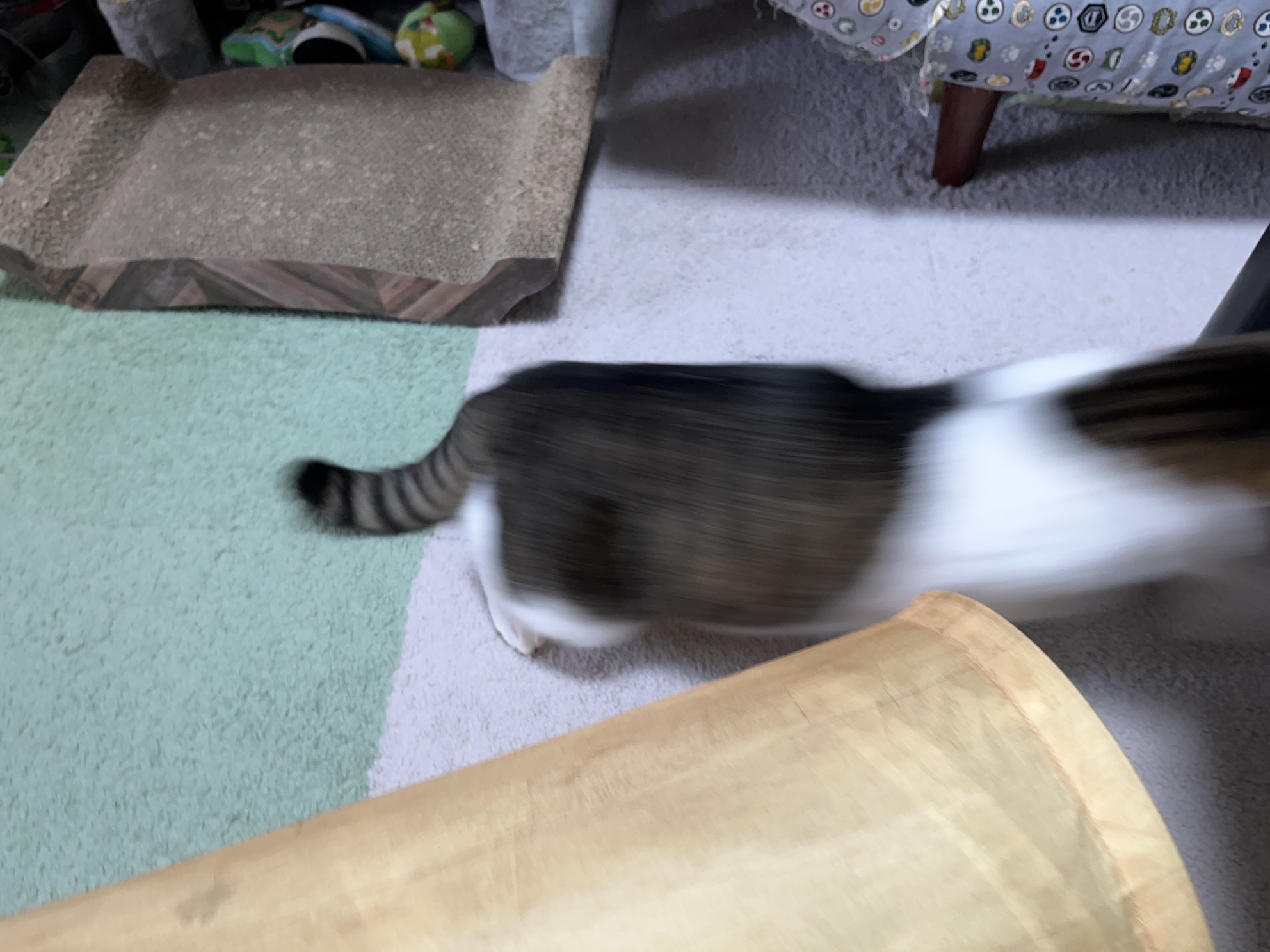 残像