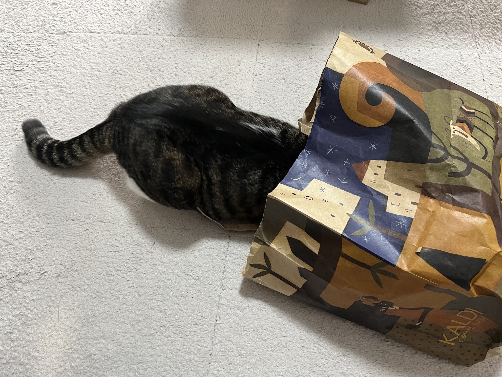 袋