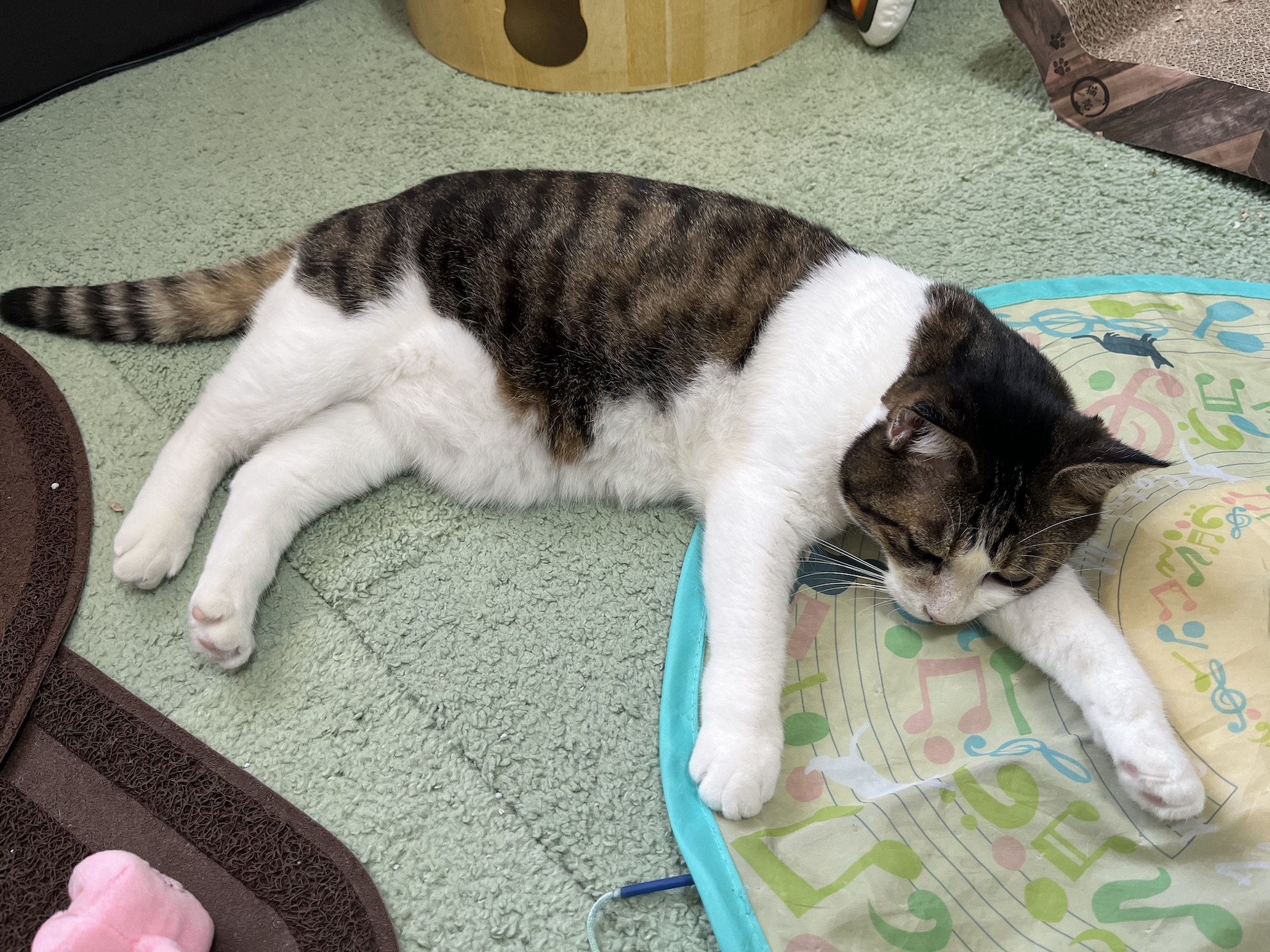 疲れ果てた