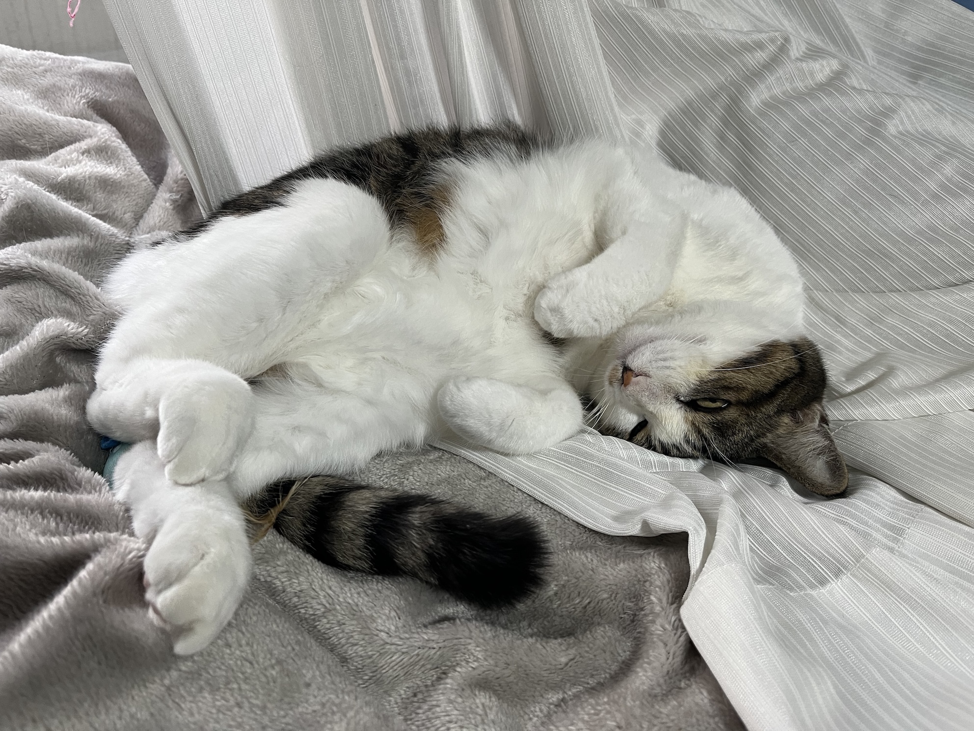 半目開いちゃうくらい気持ちいい?