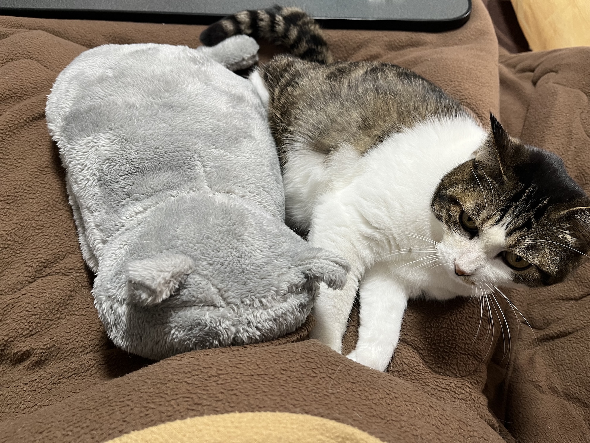 降ろされた