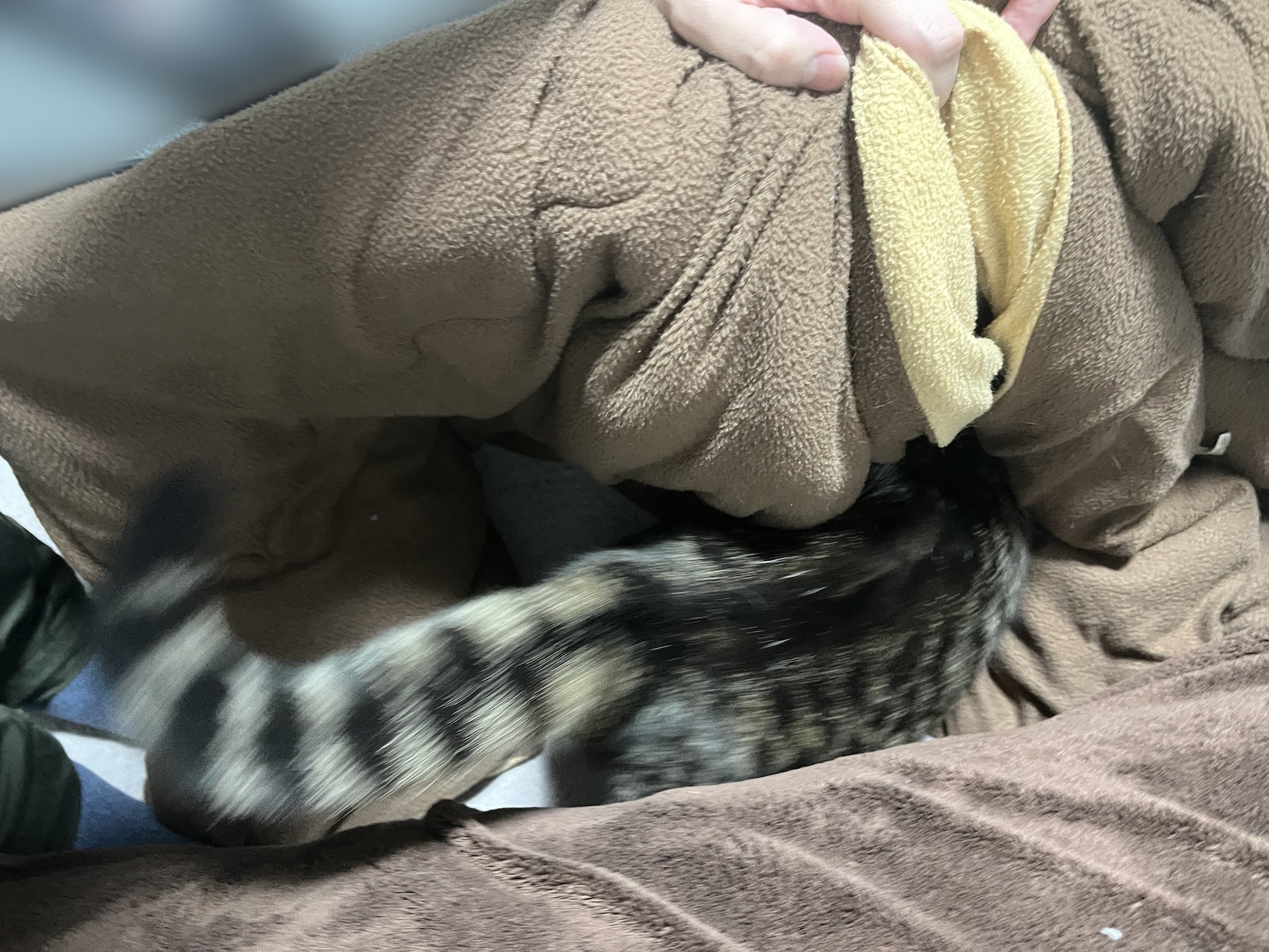 上げるとすぐ入る