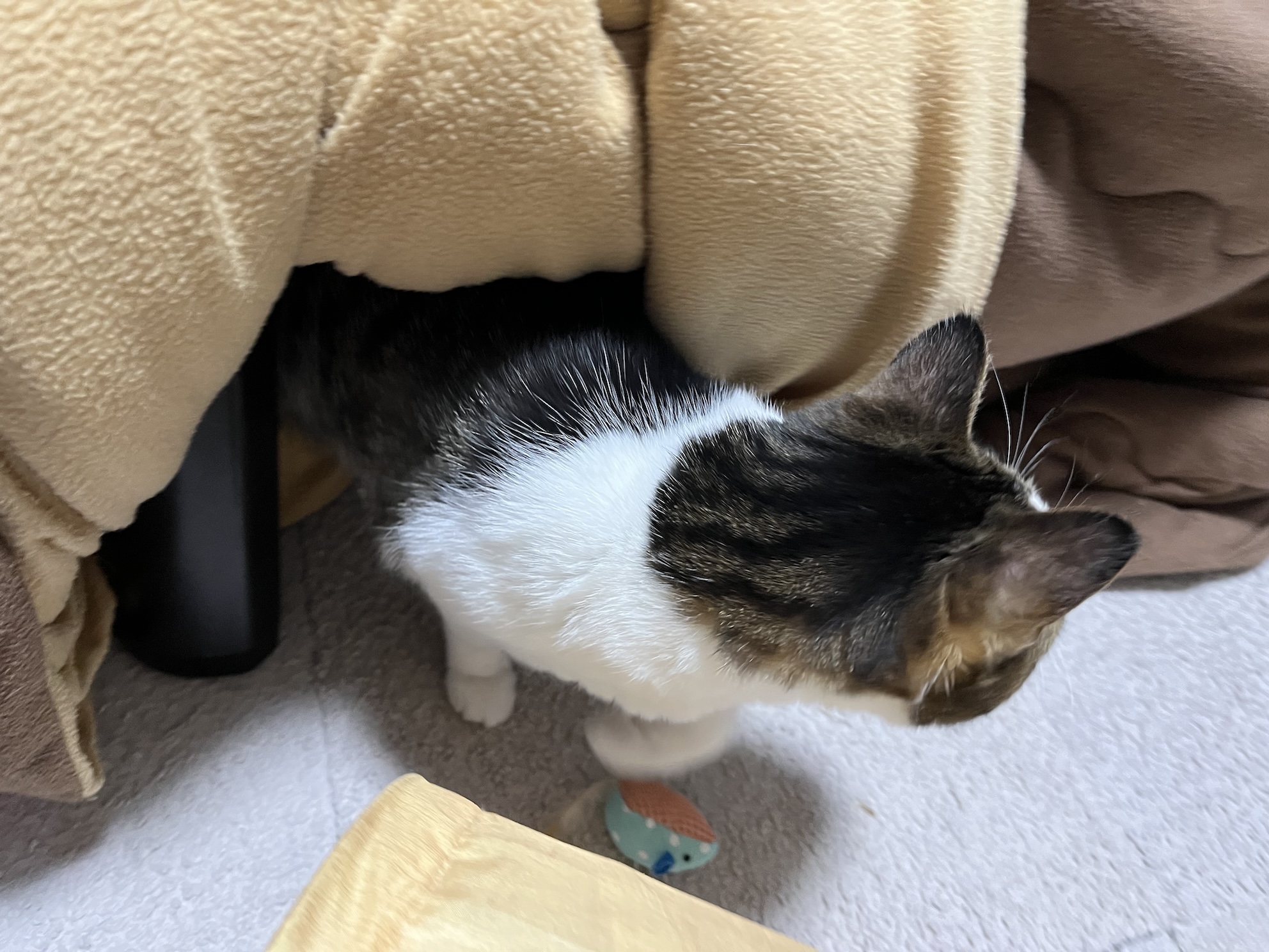 「ごくろう」