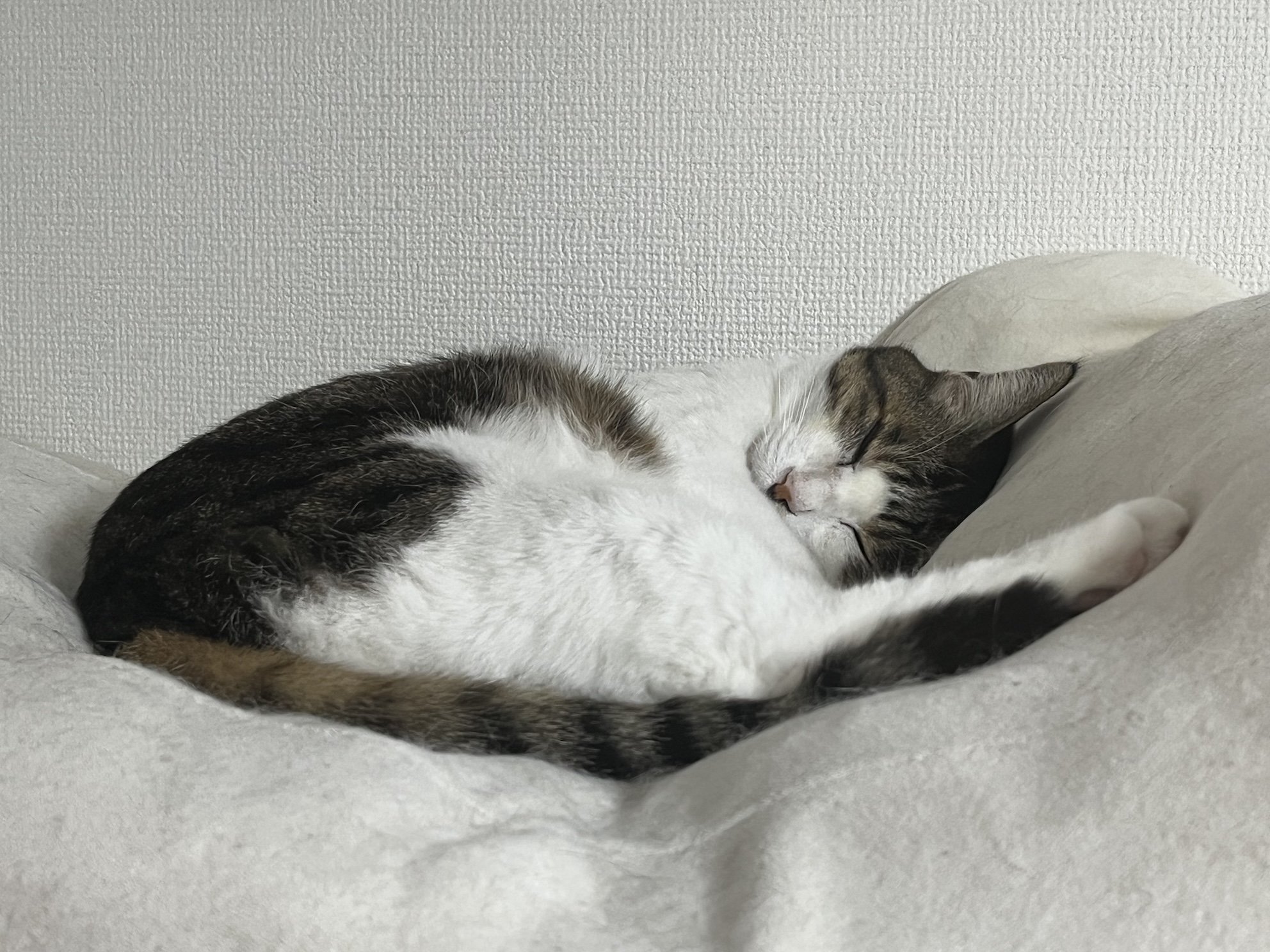 おちつく