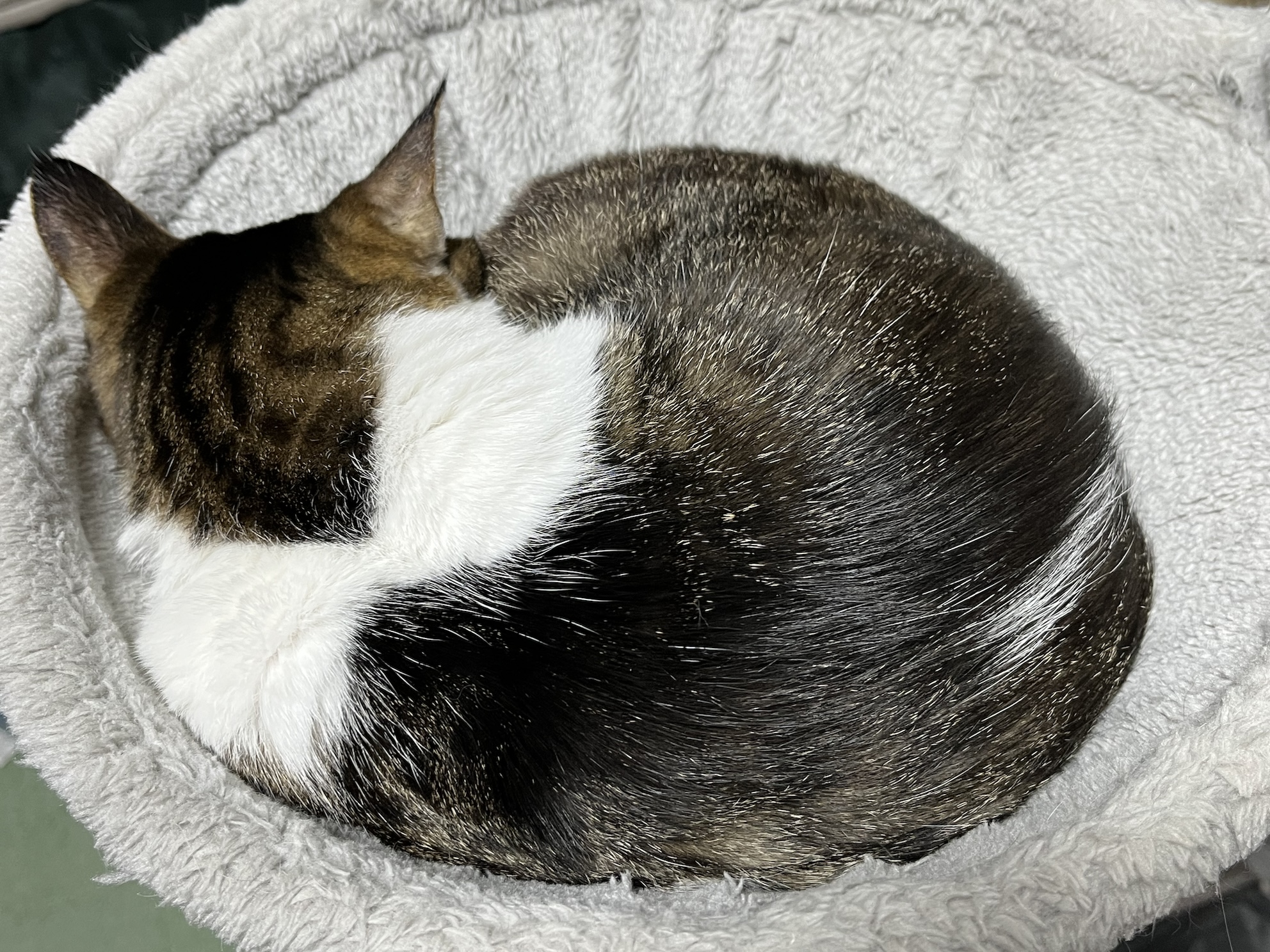 いじけてる