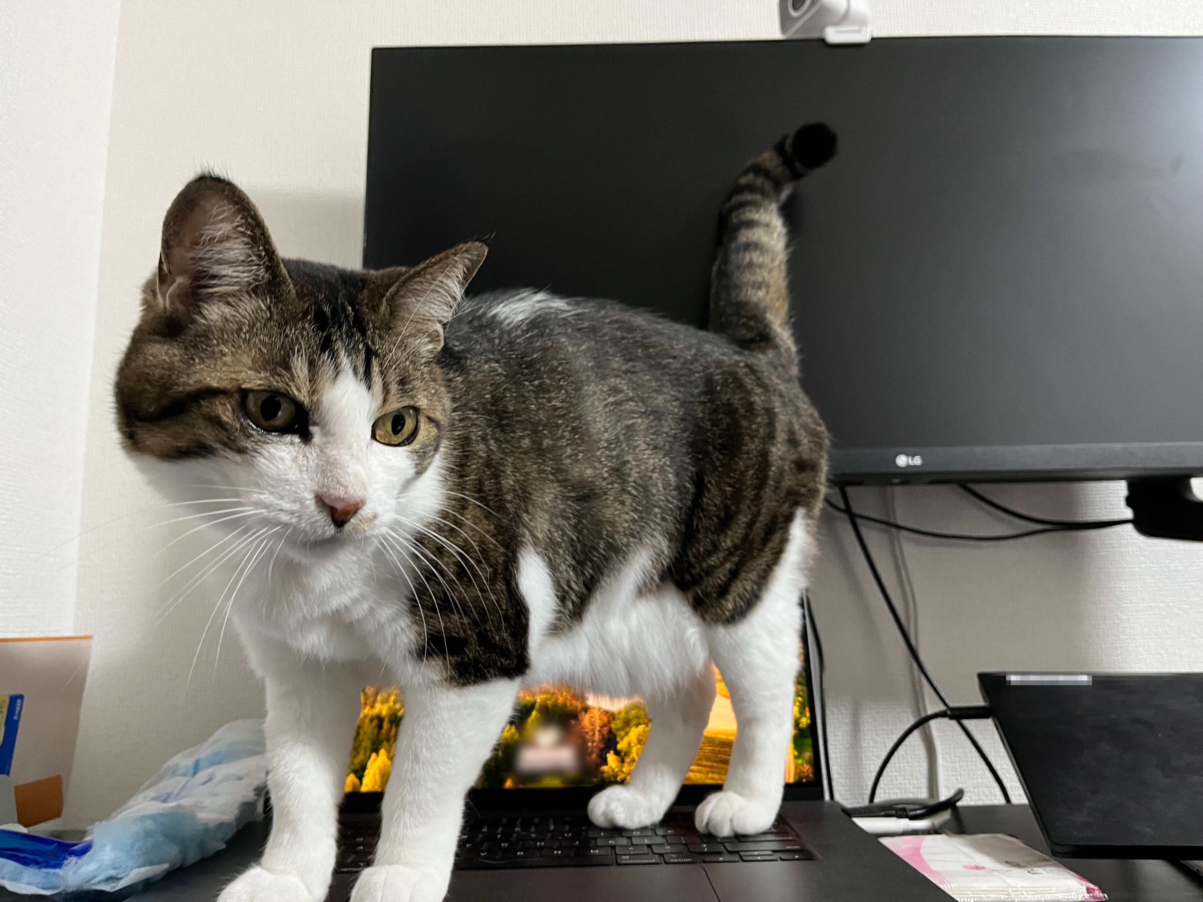 キーボードは押しっぱなし
