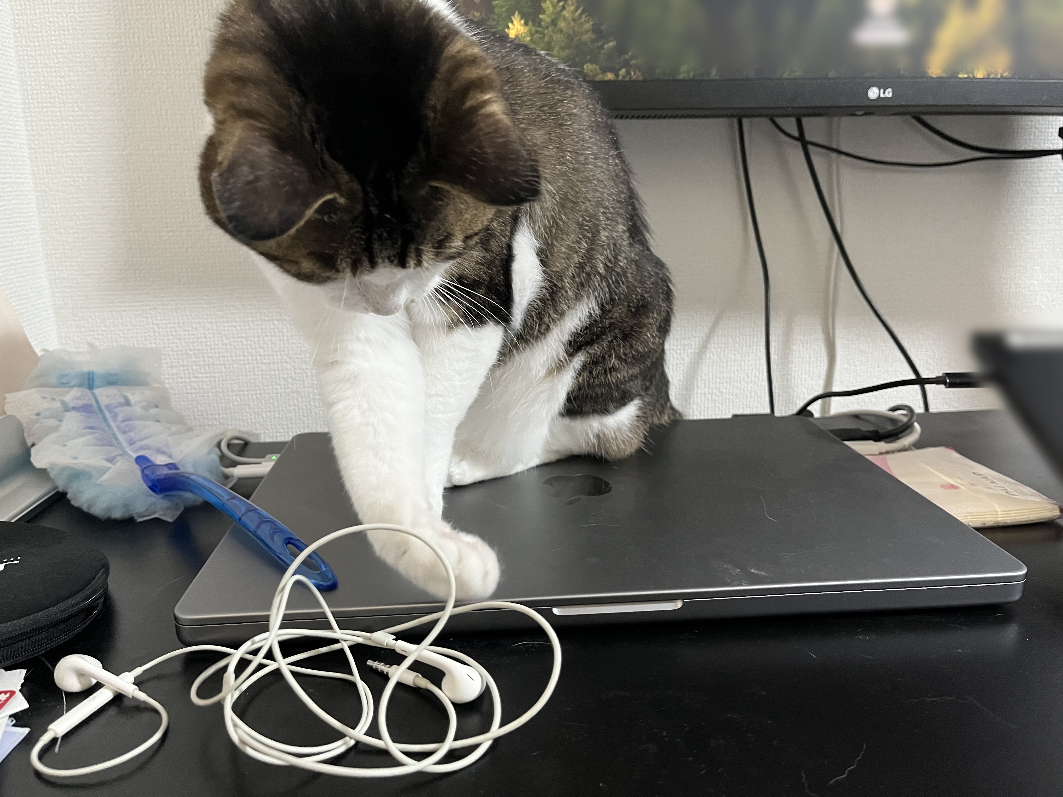 イヤホン落としのプロ