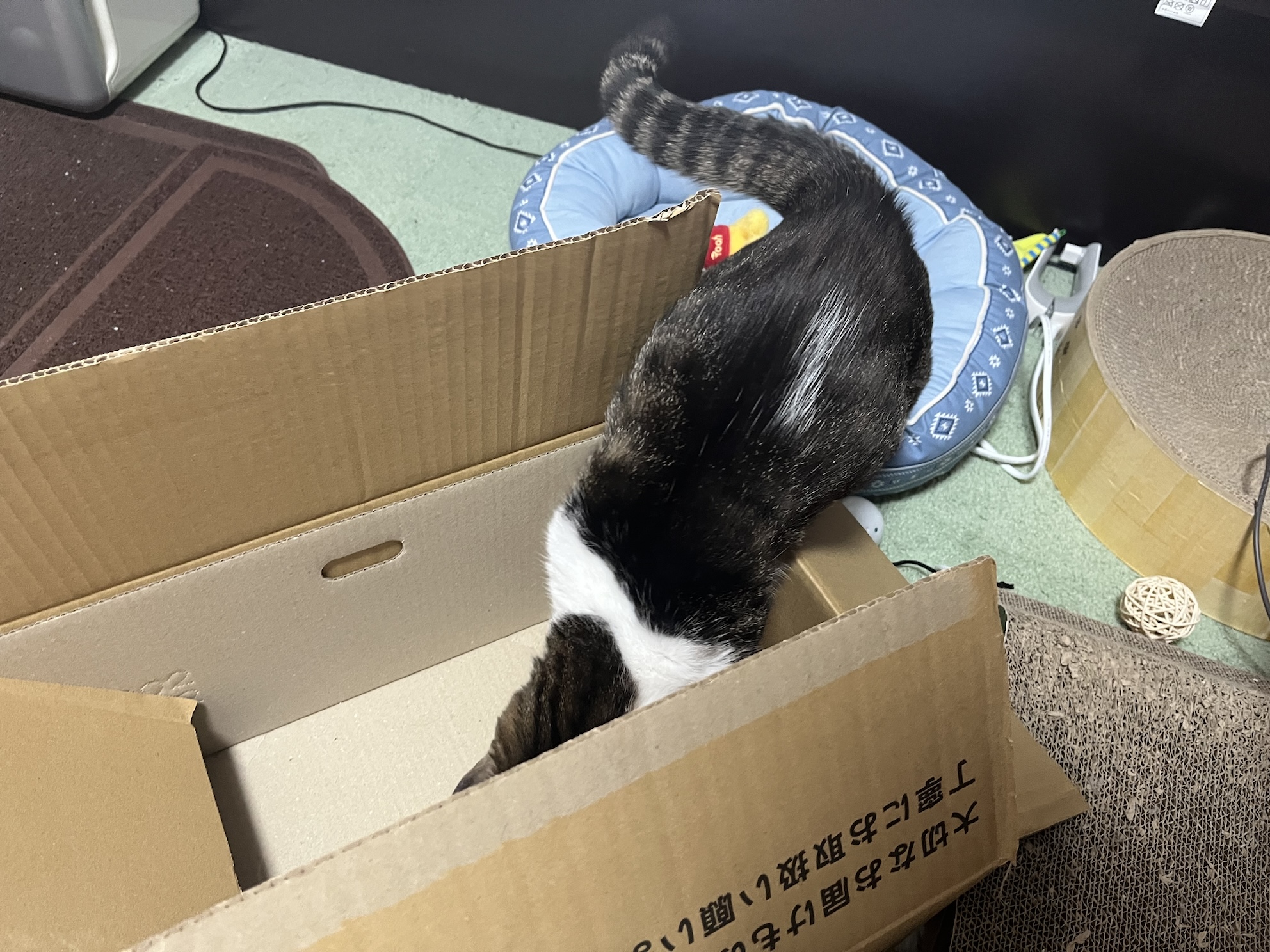 夢中