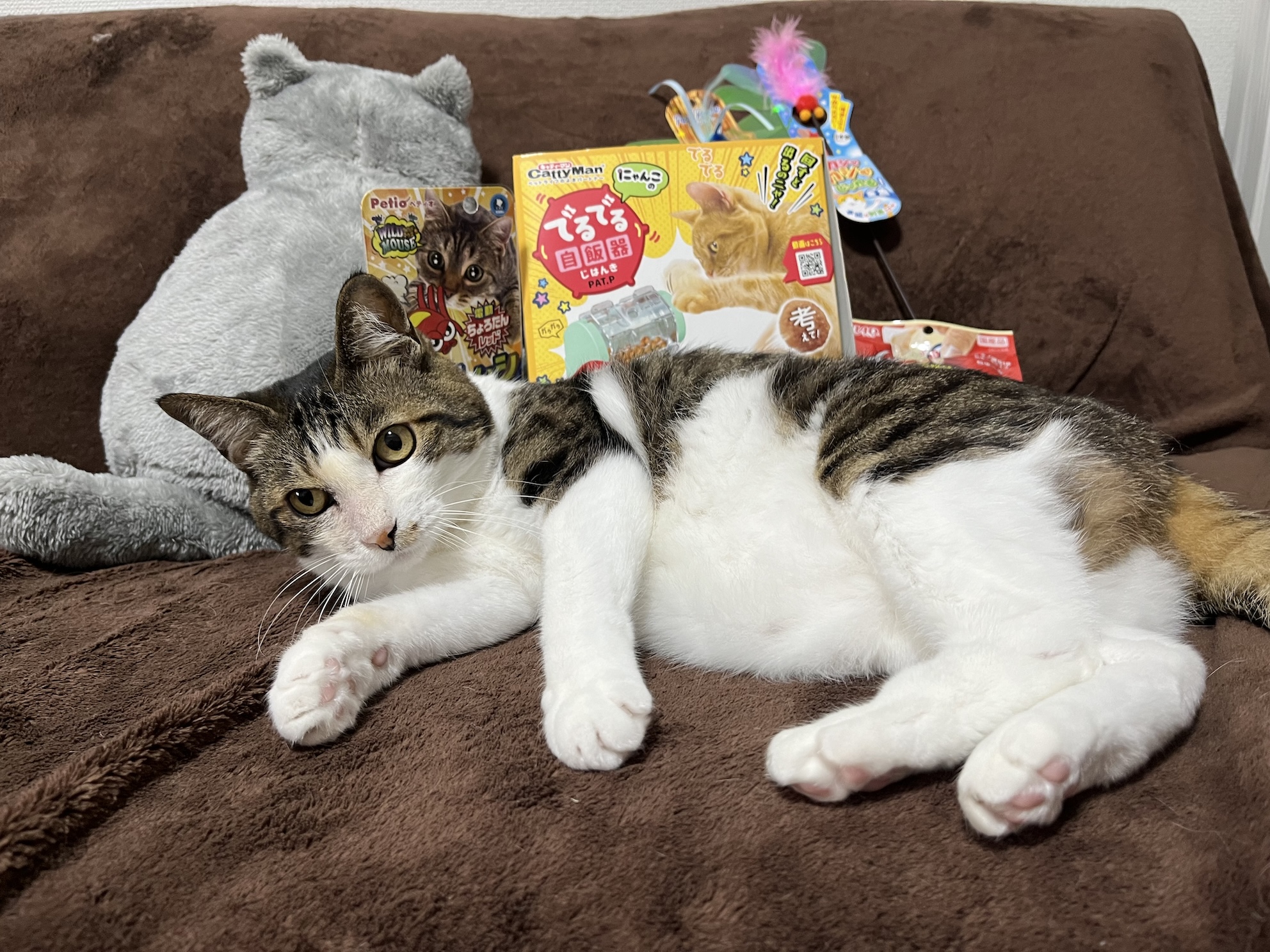 誕生日プレゼント