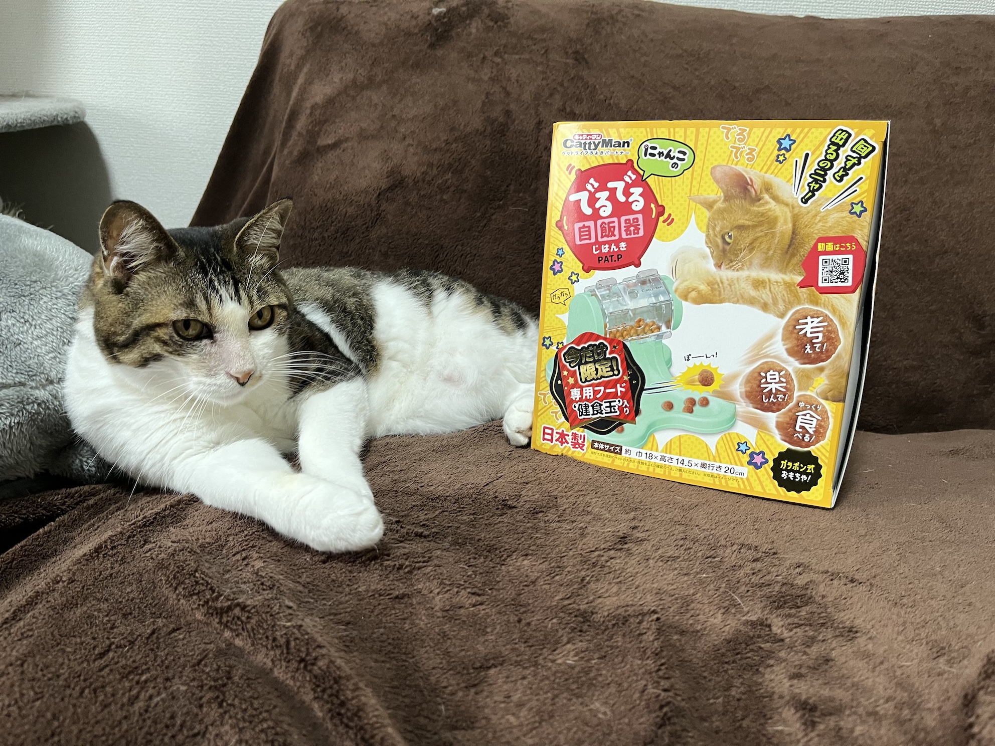 出る出る