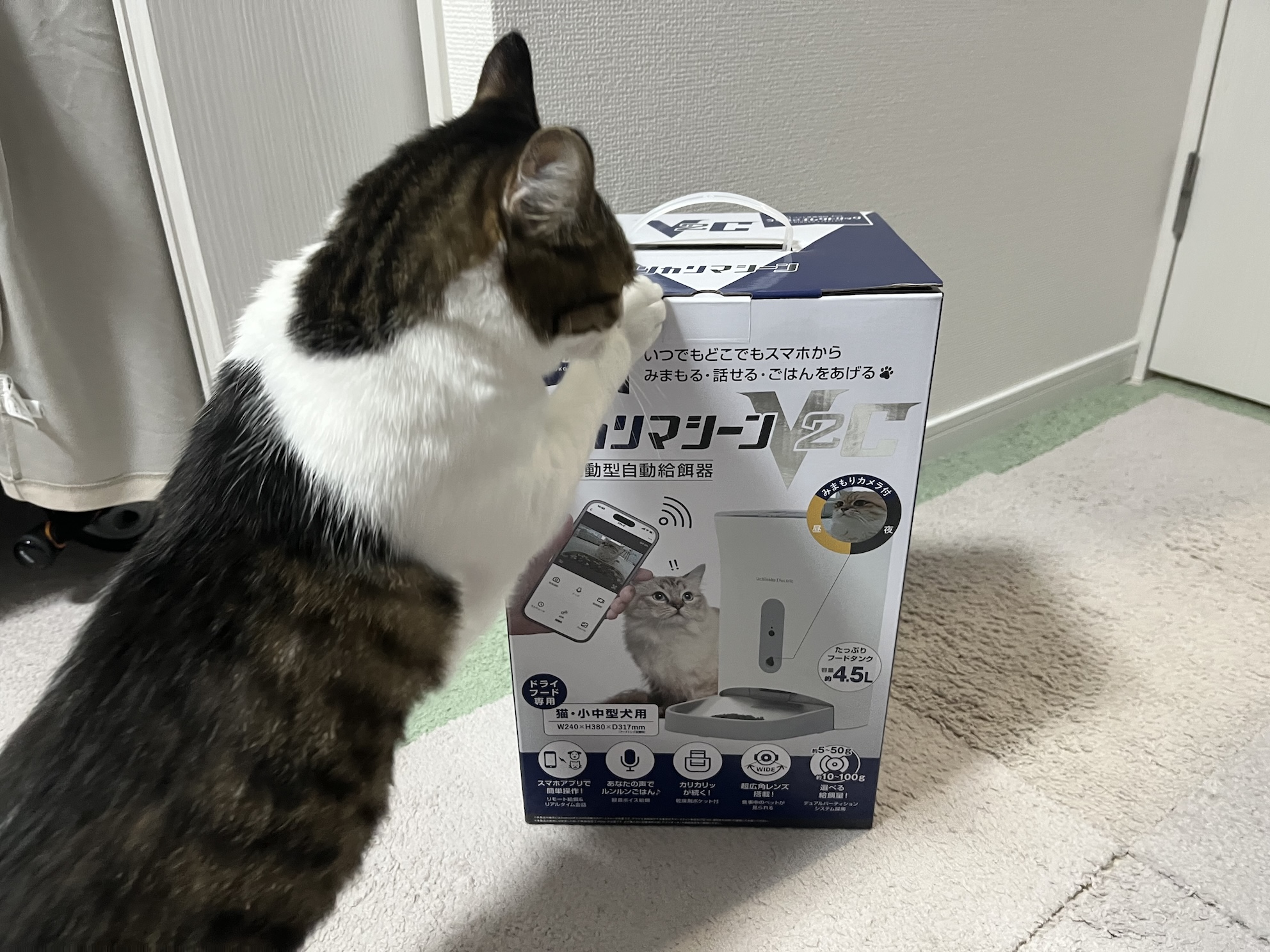 興味津々