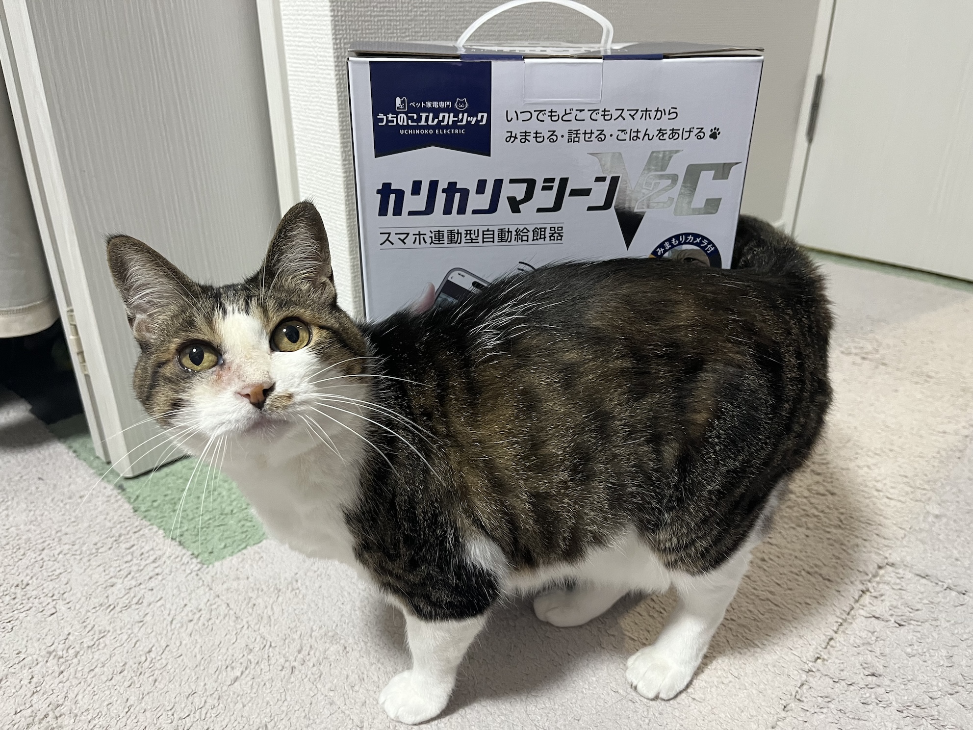気に入ってくれたらうれしい