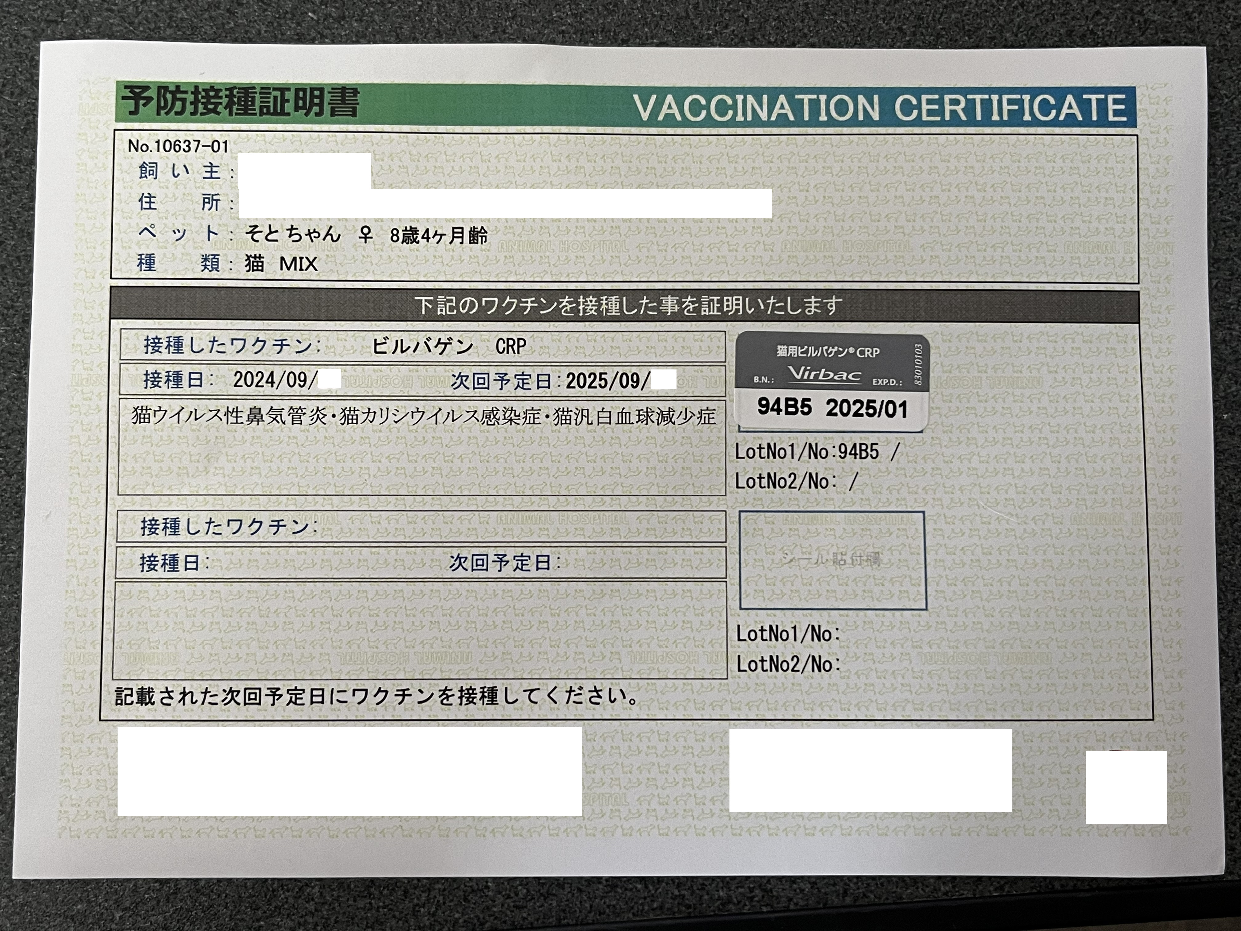Vaccinated