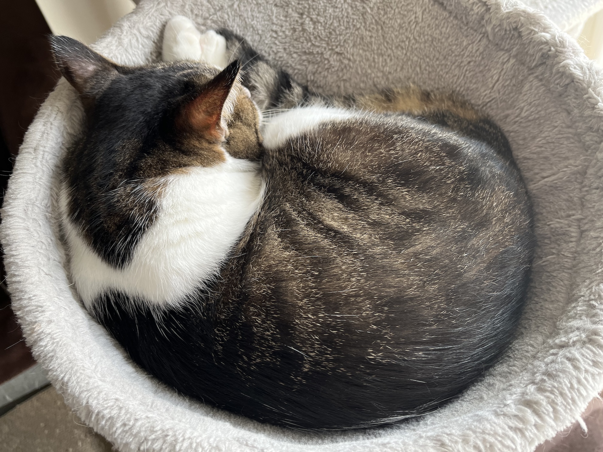 おつかれさまでした