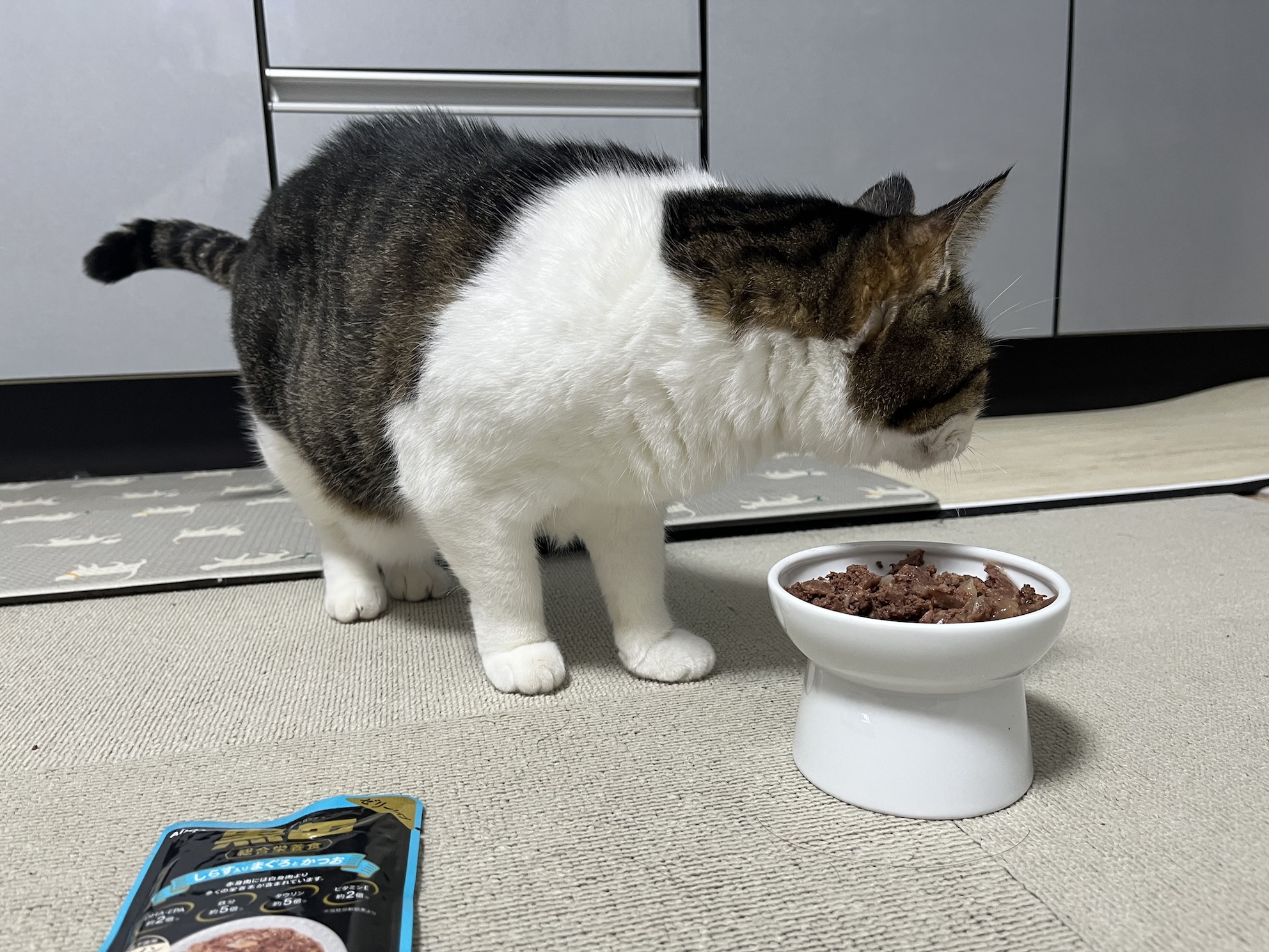 匂いだけ嗅いでそっぽを向く