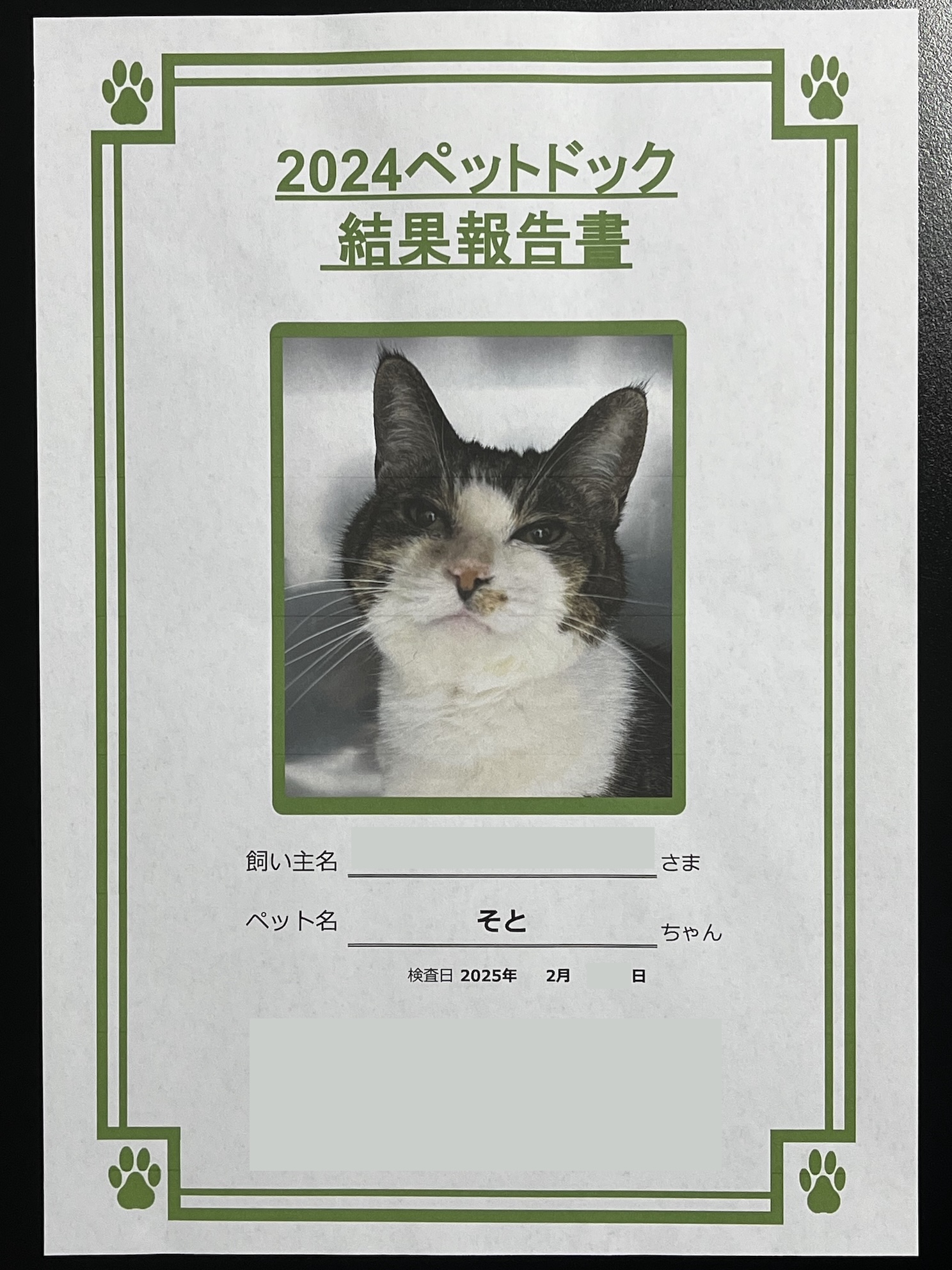 写真つきの報告書をもらいました 機嫌悪い顔で笑っちゃった