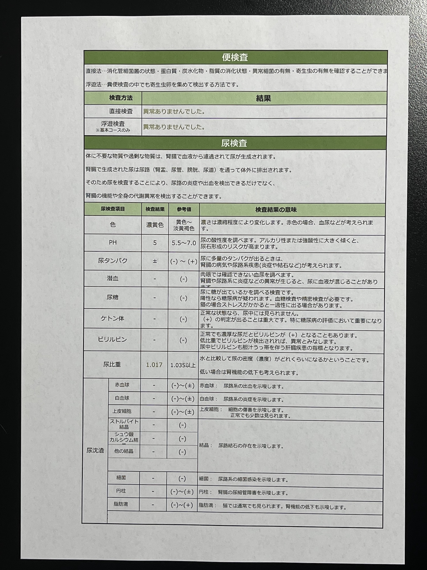 おしっこが薄い