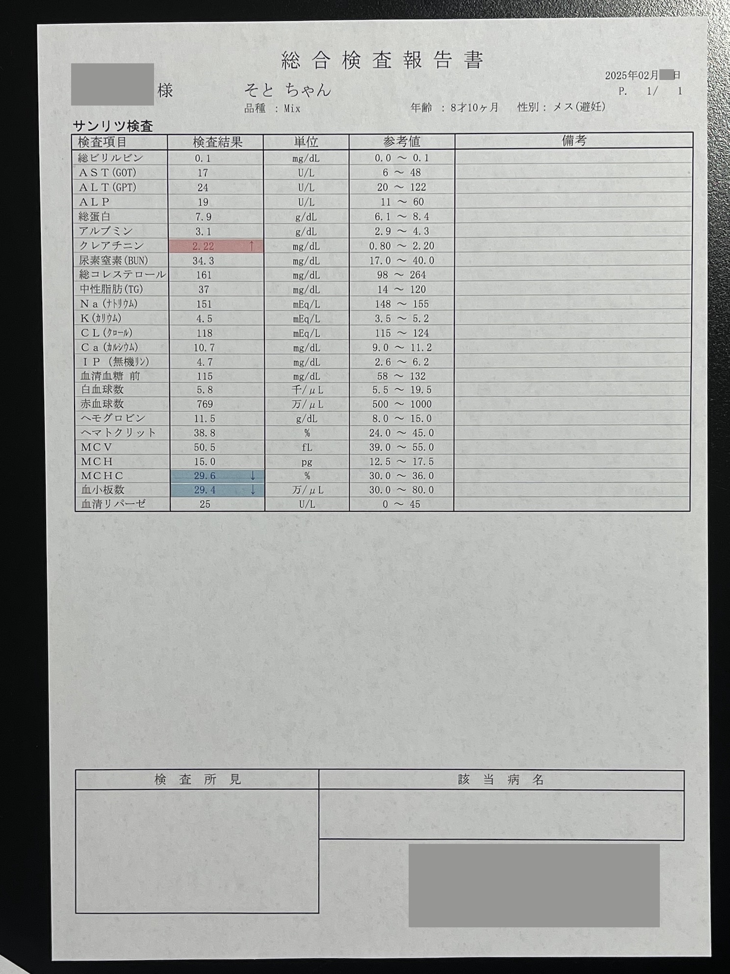 クレアチニンが基準値超え